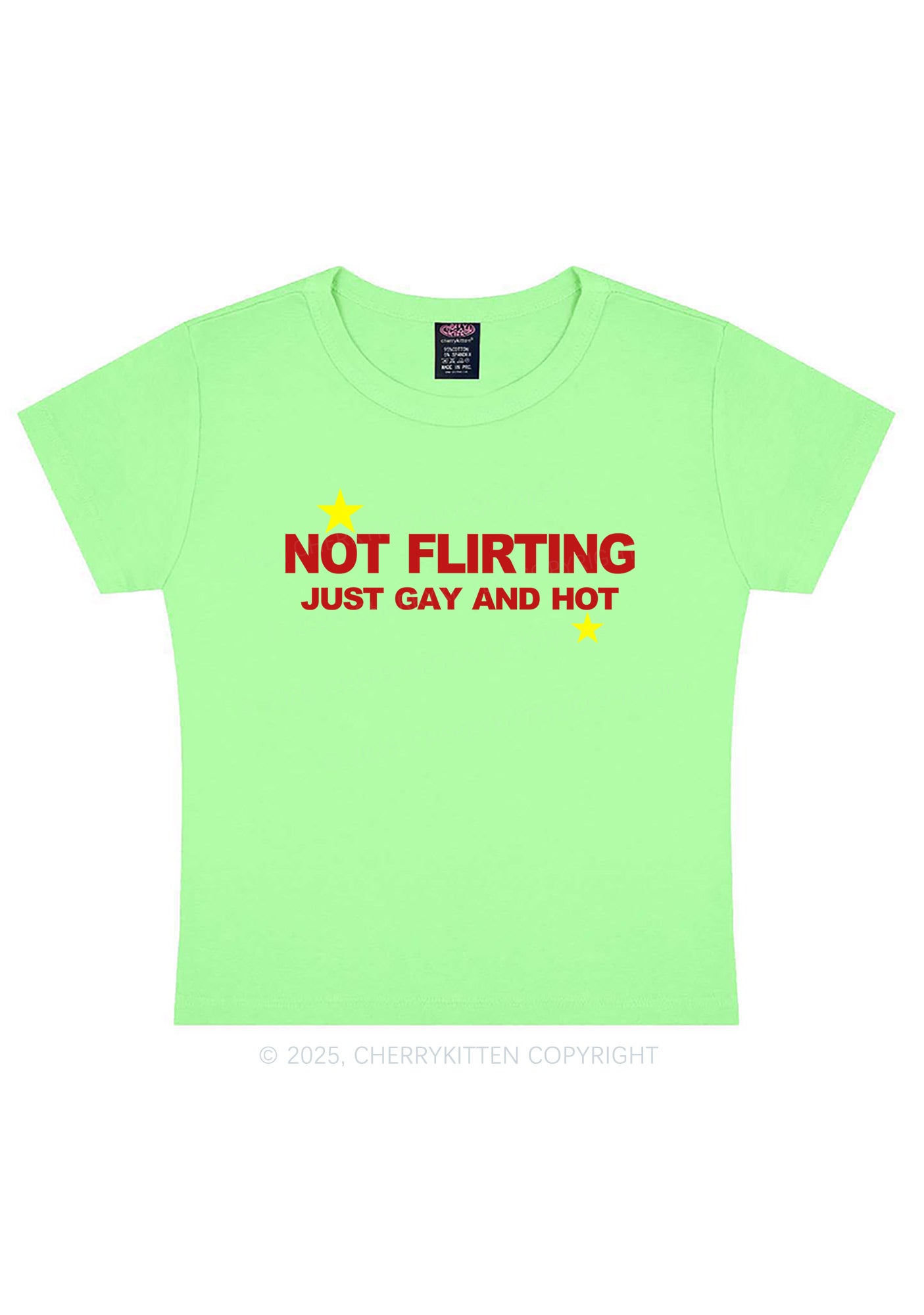 Not Flirting Pride Y2K Baby Tee Cherrykitten