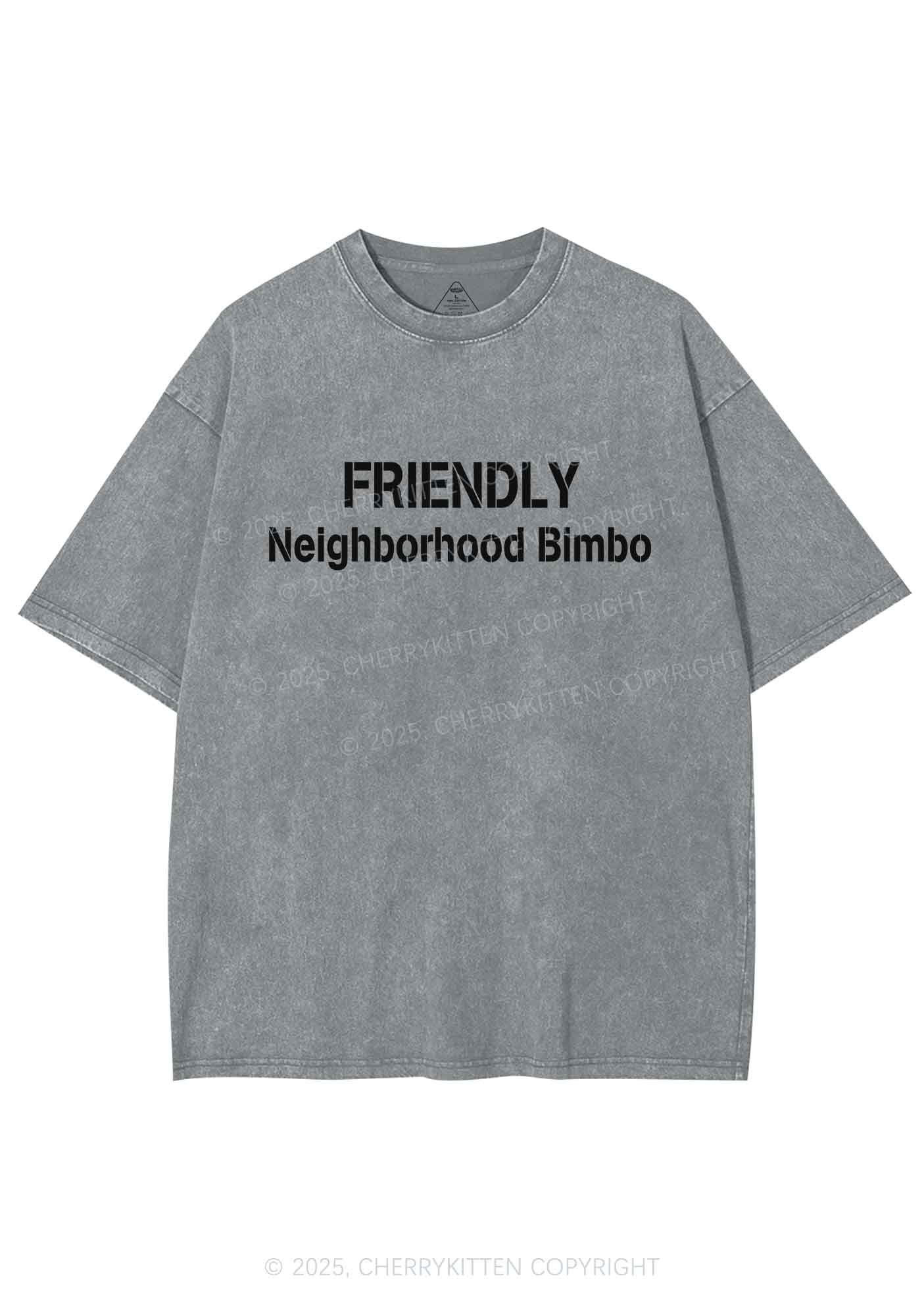 Friendly Neighborhood Bimbo Y2K Shirts Washed Tee Cherrykitten
