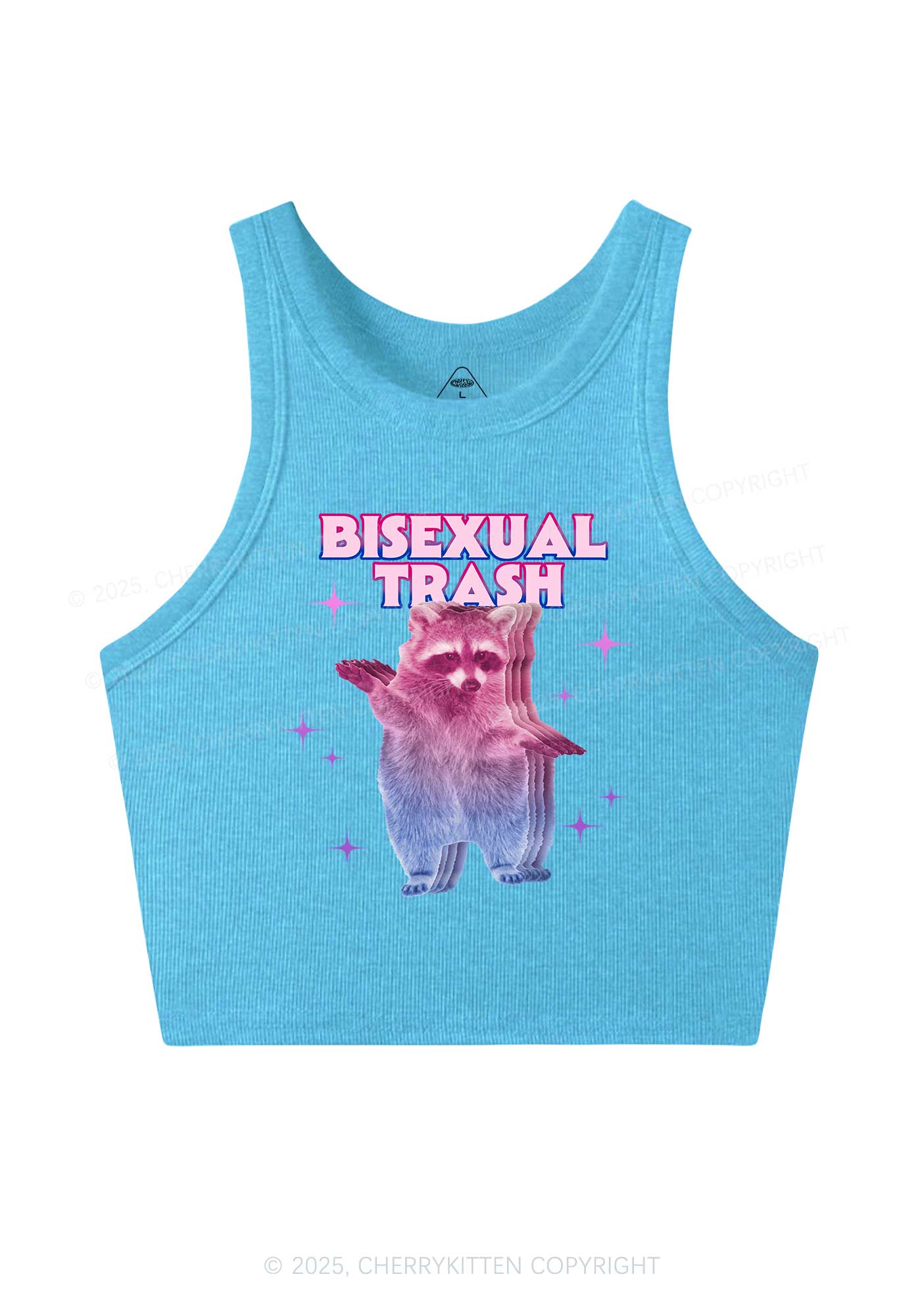 Bisexual Trash Raccoon Pride Y2K Crop Tank Top Cherrykitten