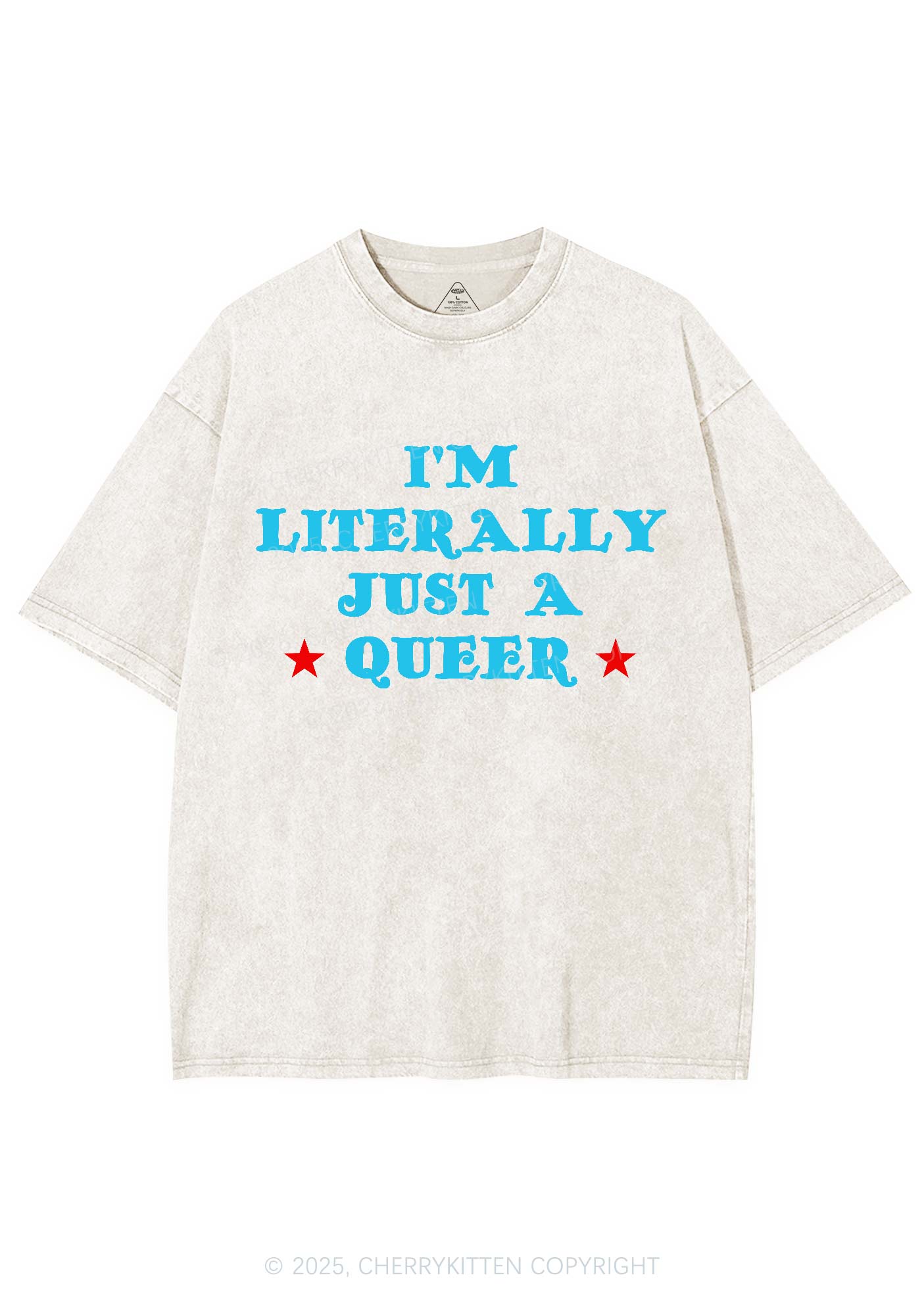 Just A Queer Pride Y2K Shirts Washed Tee Cherrykitten