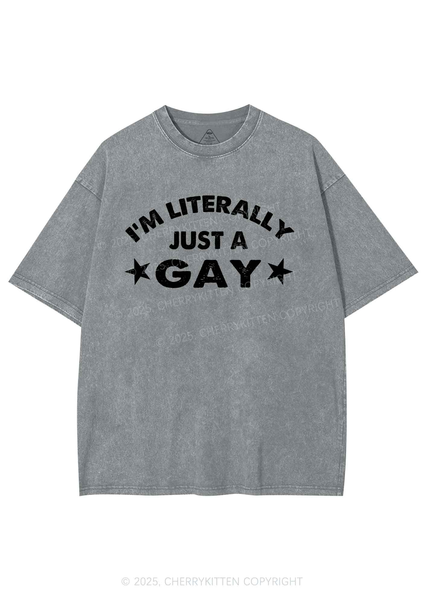 Literally Just A Gay Pride Y2K Shirts Washed Tee Cherrykitten