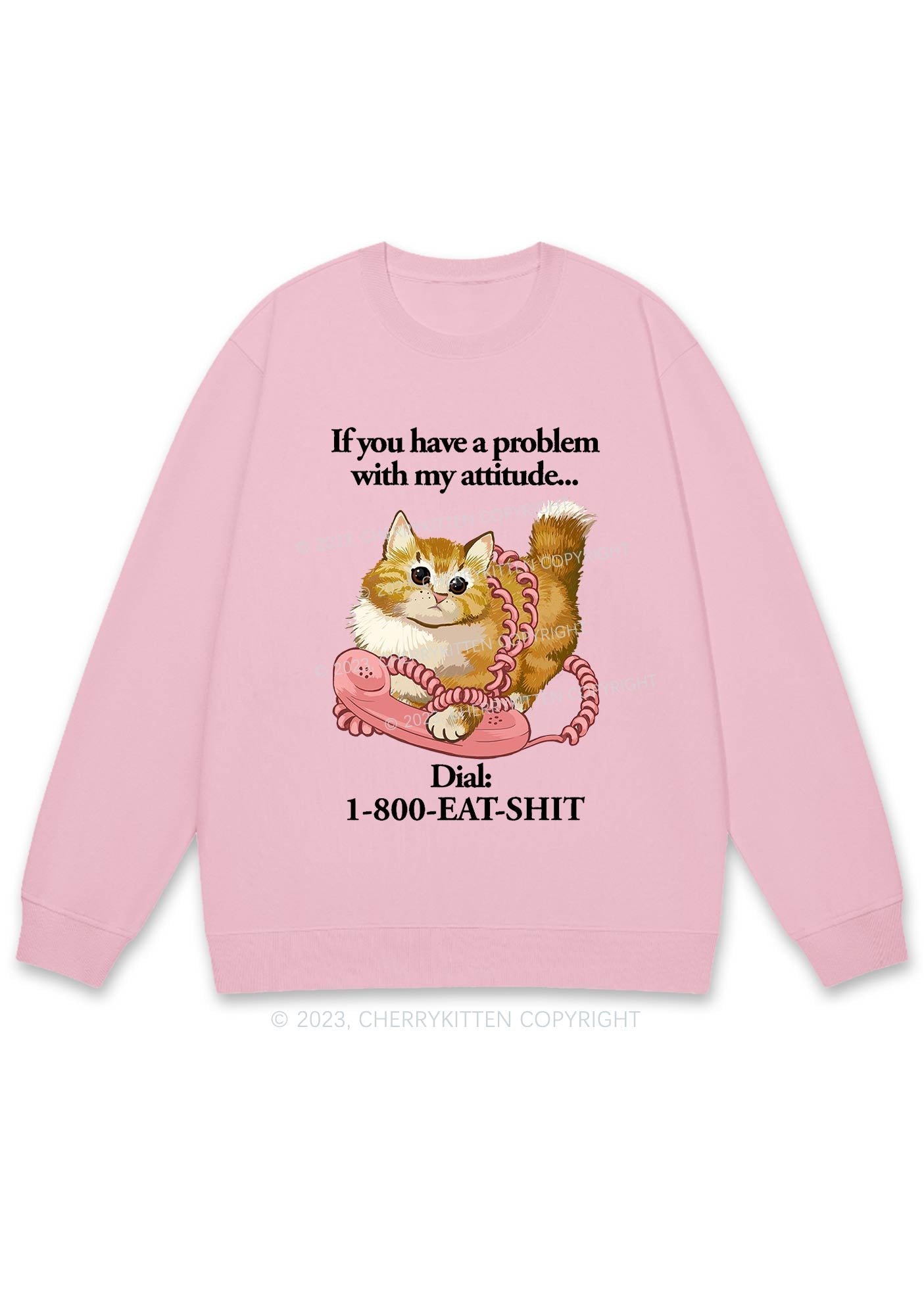 If You Have A Problem With My Attitude Y2K Sweatshirt Cherrykitten