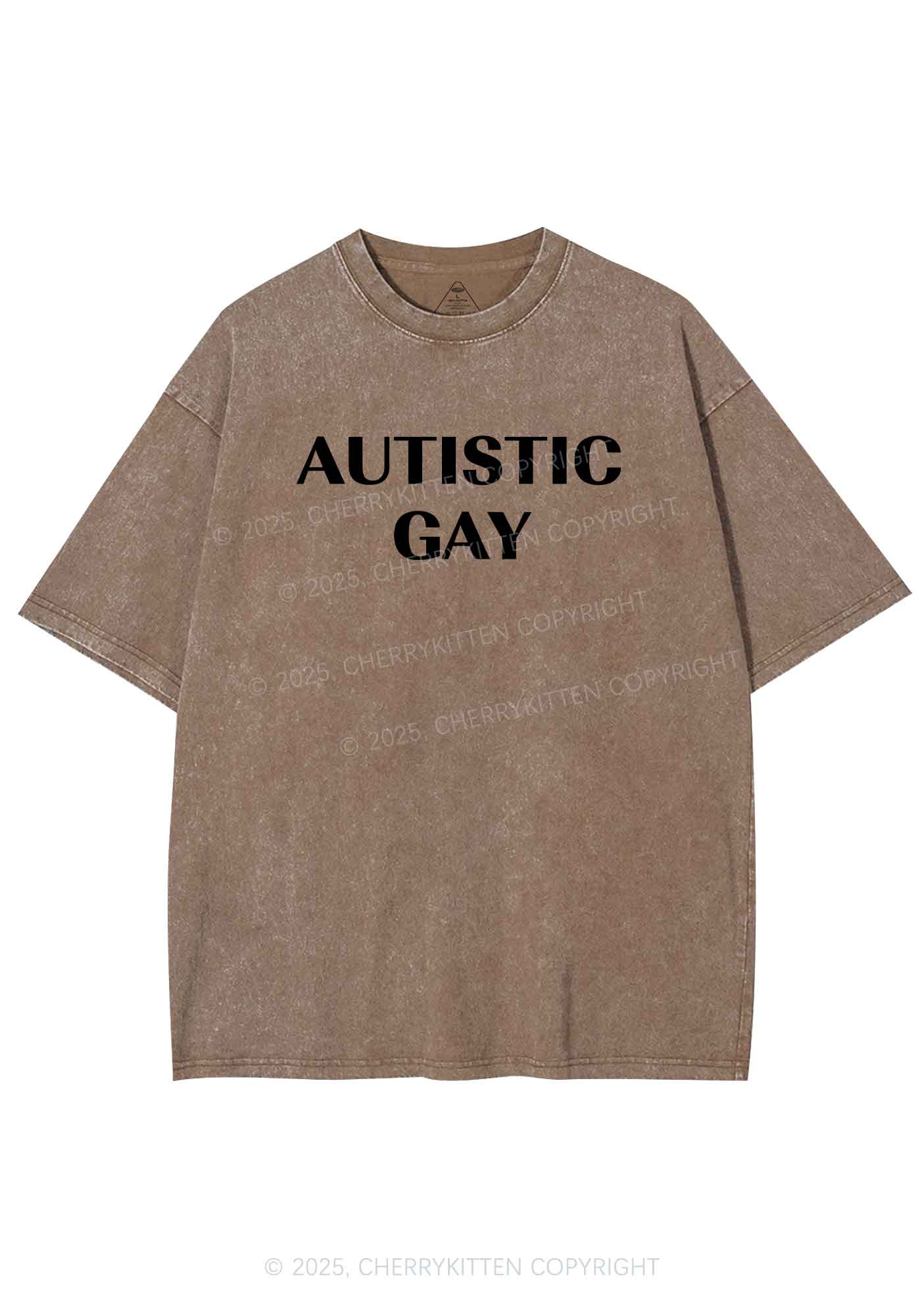 Autistic Gay Pride Y2K Shirts Washed Tee Cherrykitten