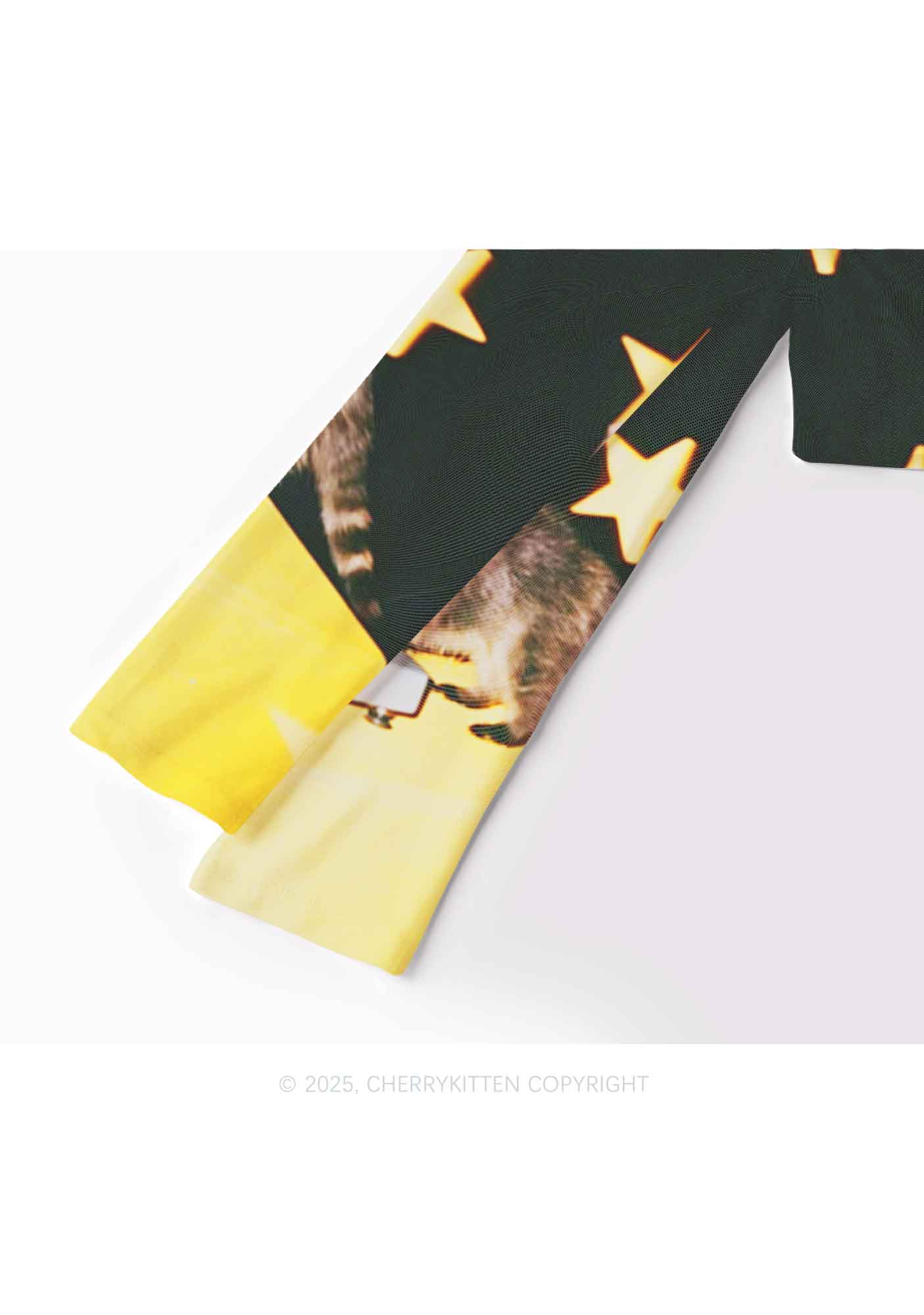 DJ Raccoon Y2K Mesh Long Sleeve Crop Top Cherrykitten
