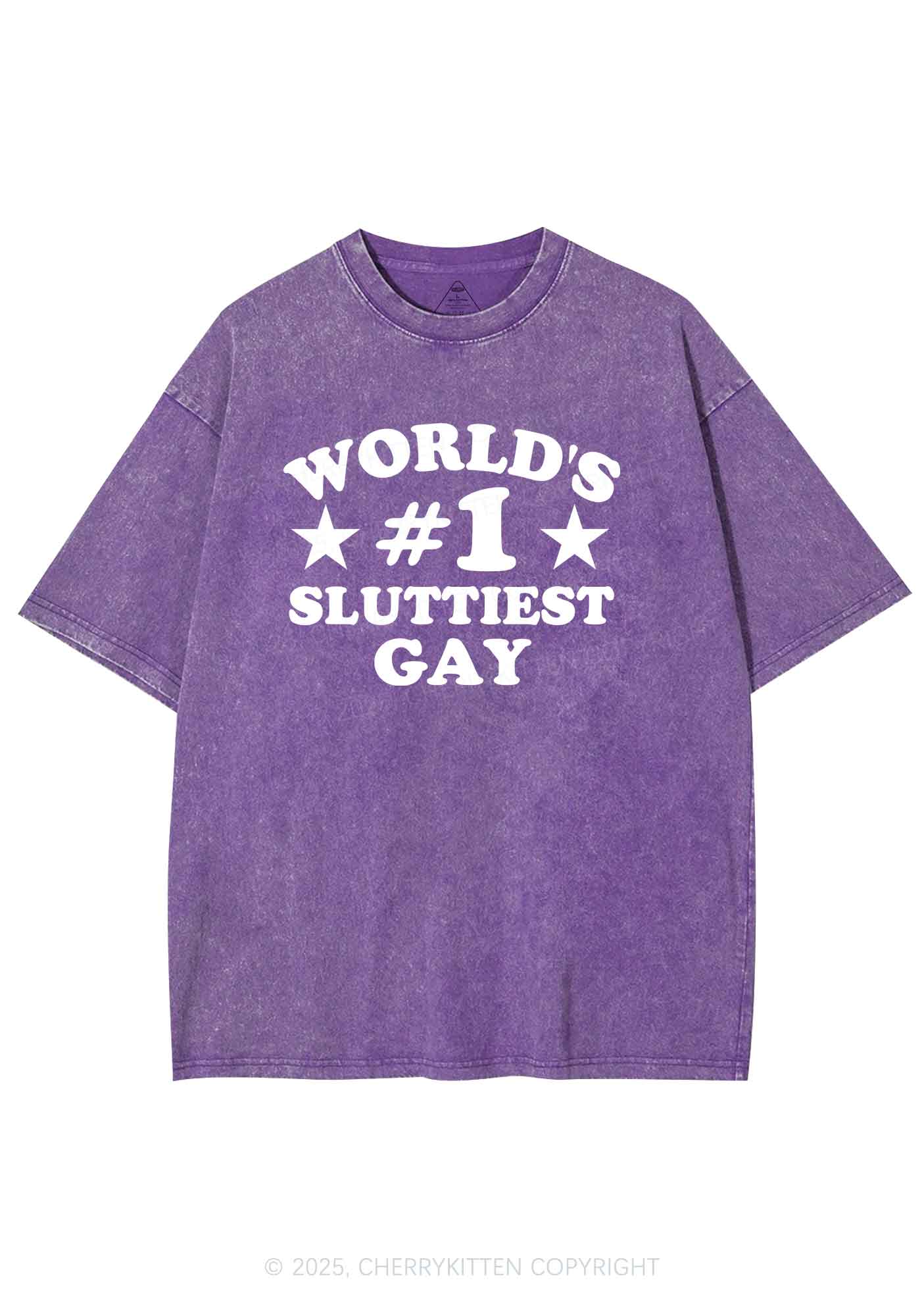 Worlds First Slxttiest Gay Pride Y2K Shirts Washed Tee Cherrykitten