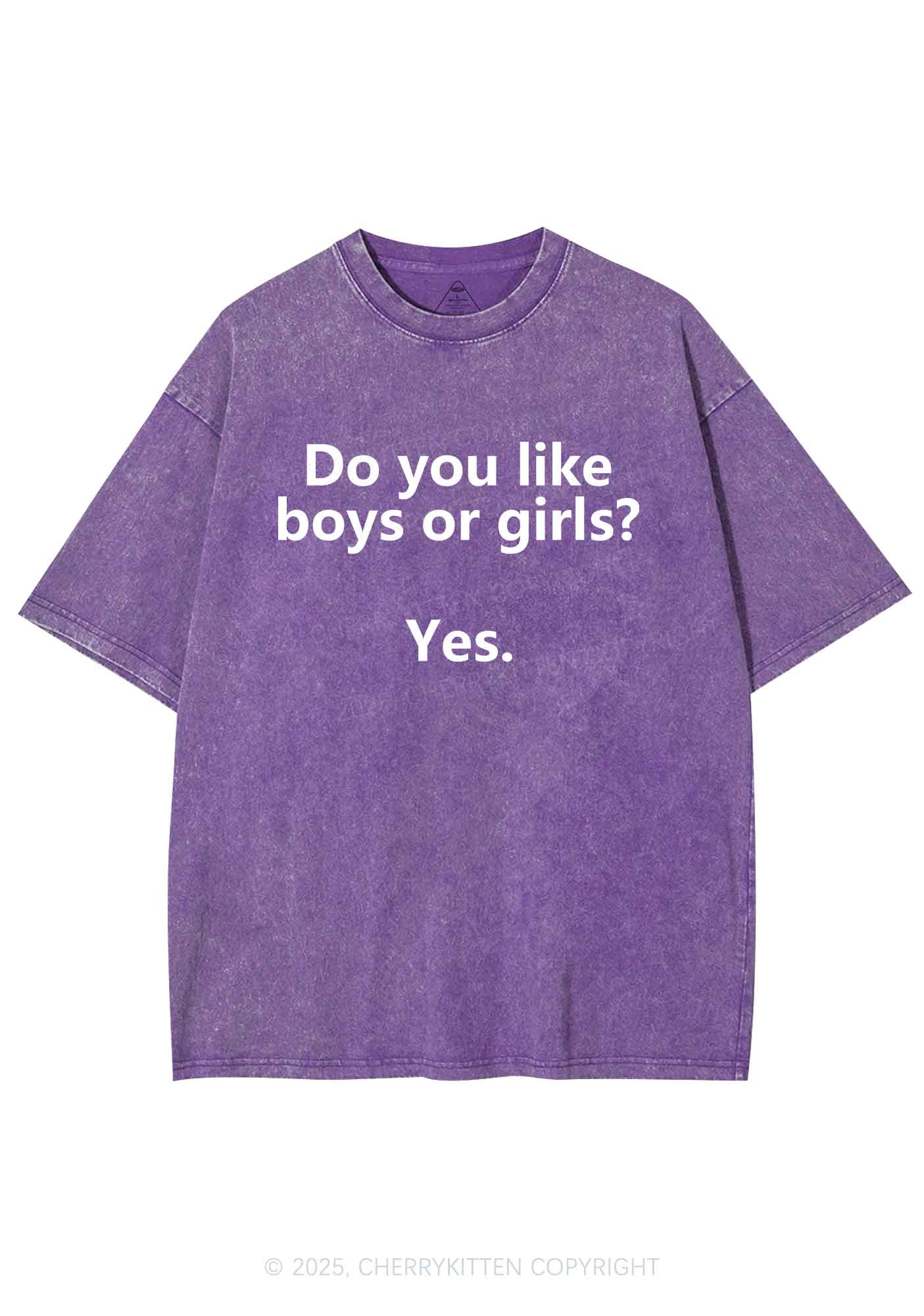 Do You Like Boys Or Girls Pride Y2K Shirts Washed Tee Cherrykitten