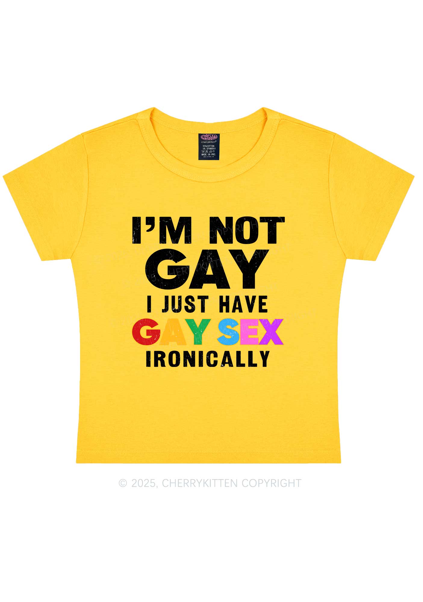 Gay Sx Ironically Pride Y2K Baby Tee Cherrykitten