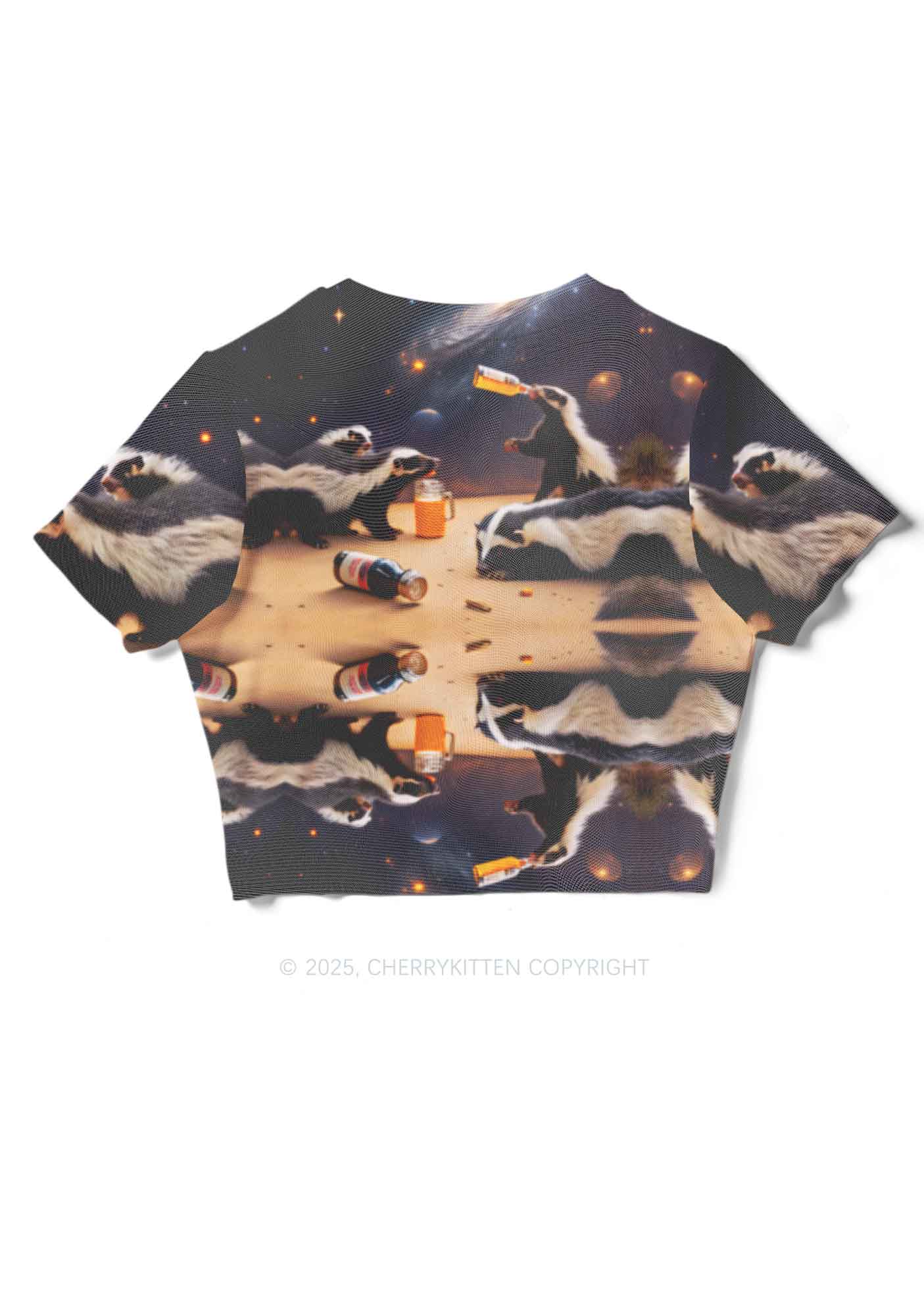 Drunk Badger Y2K Mesh Crop Top Cherrykitten