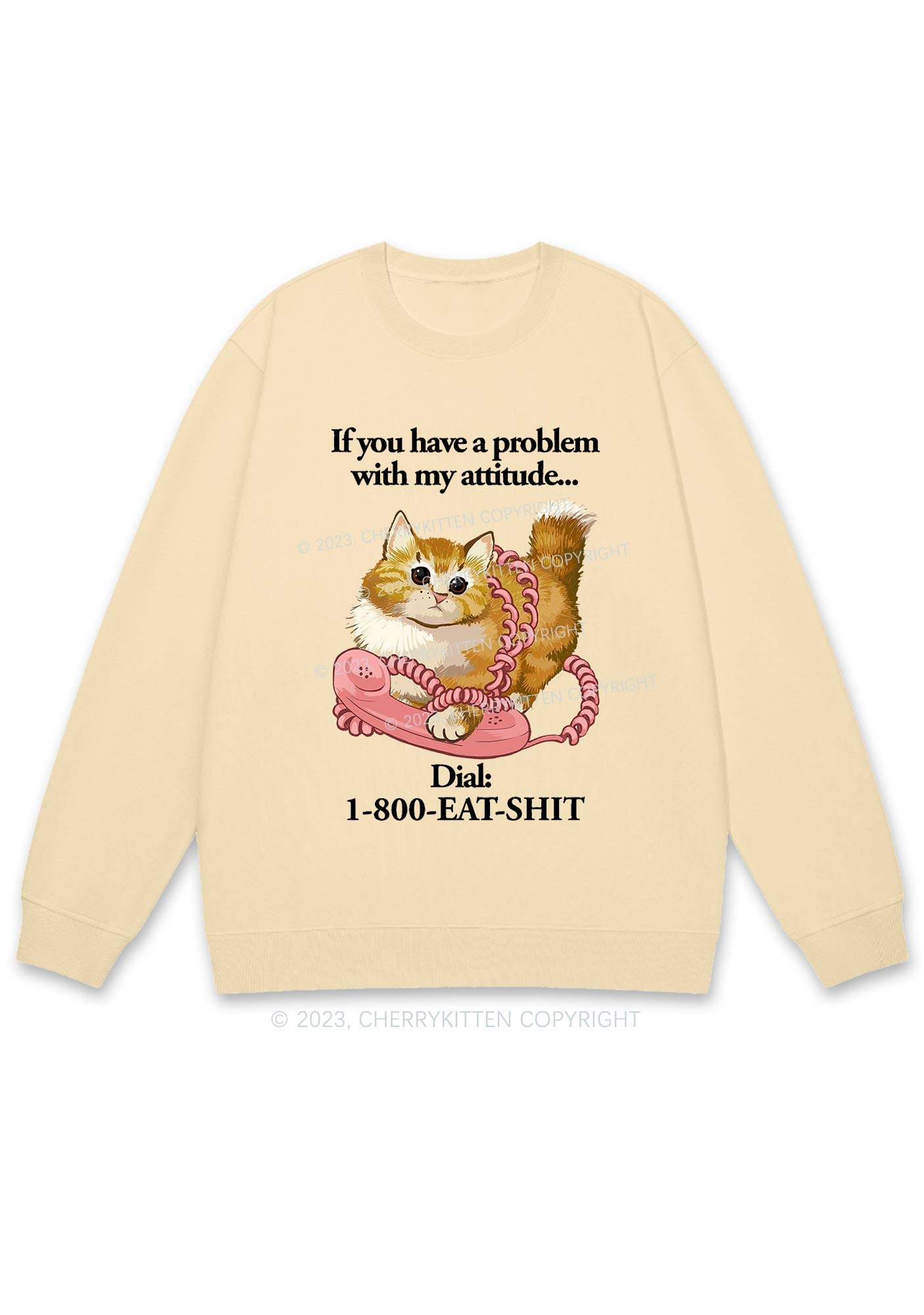 If You Have A Problem With My Attitude Y2K Sweatshirt Cherrykitten