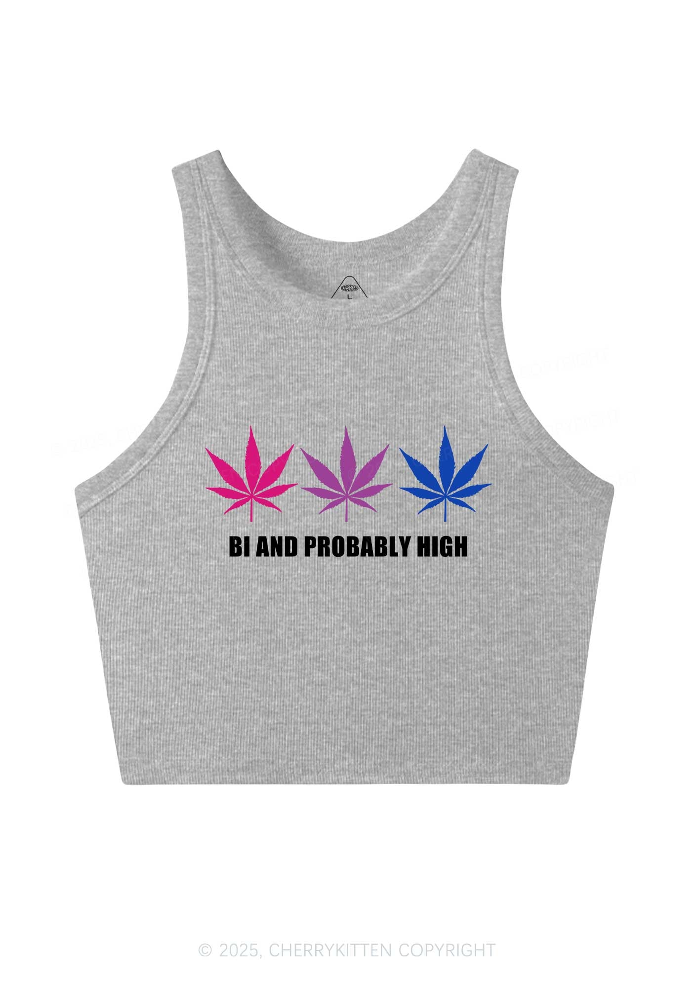 Bi Probably High Pride Y2K Crop Tank Top Cherrykitten