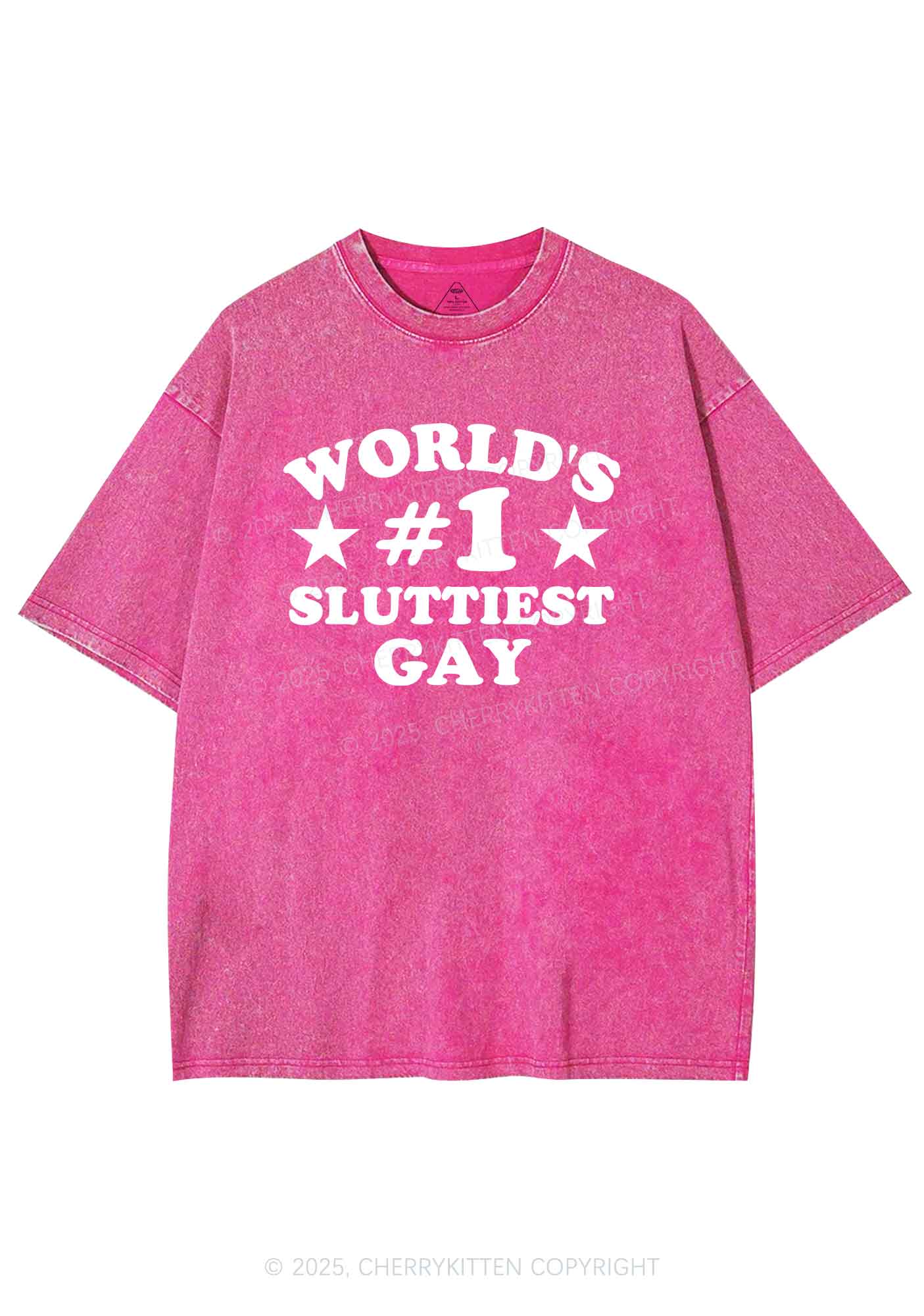 Worlds First Slxttiest Gay Pride Y2K Shirts Washed Tee Cherrykitten