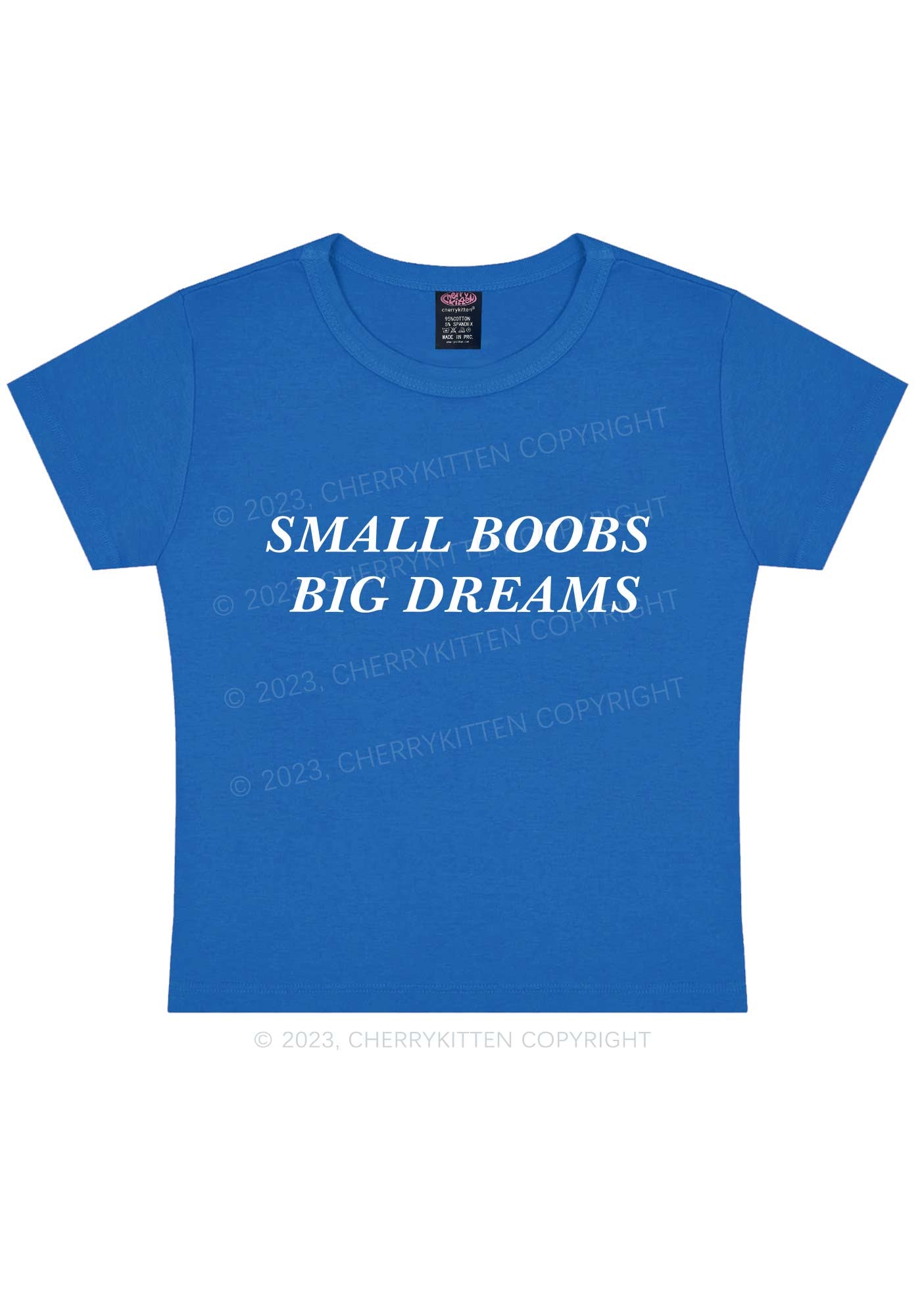 Small But Big Dreams Y2k Baby Tee