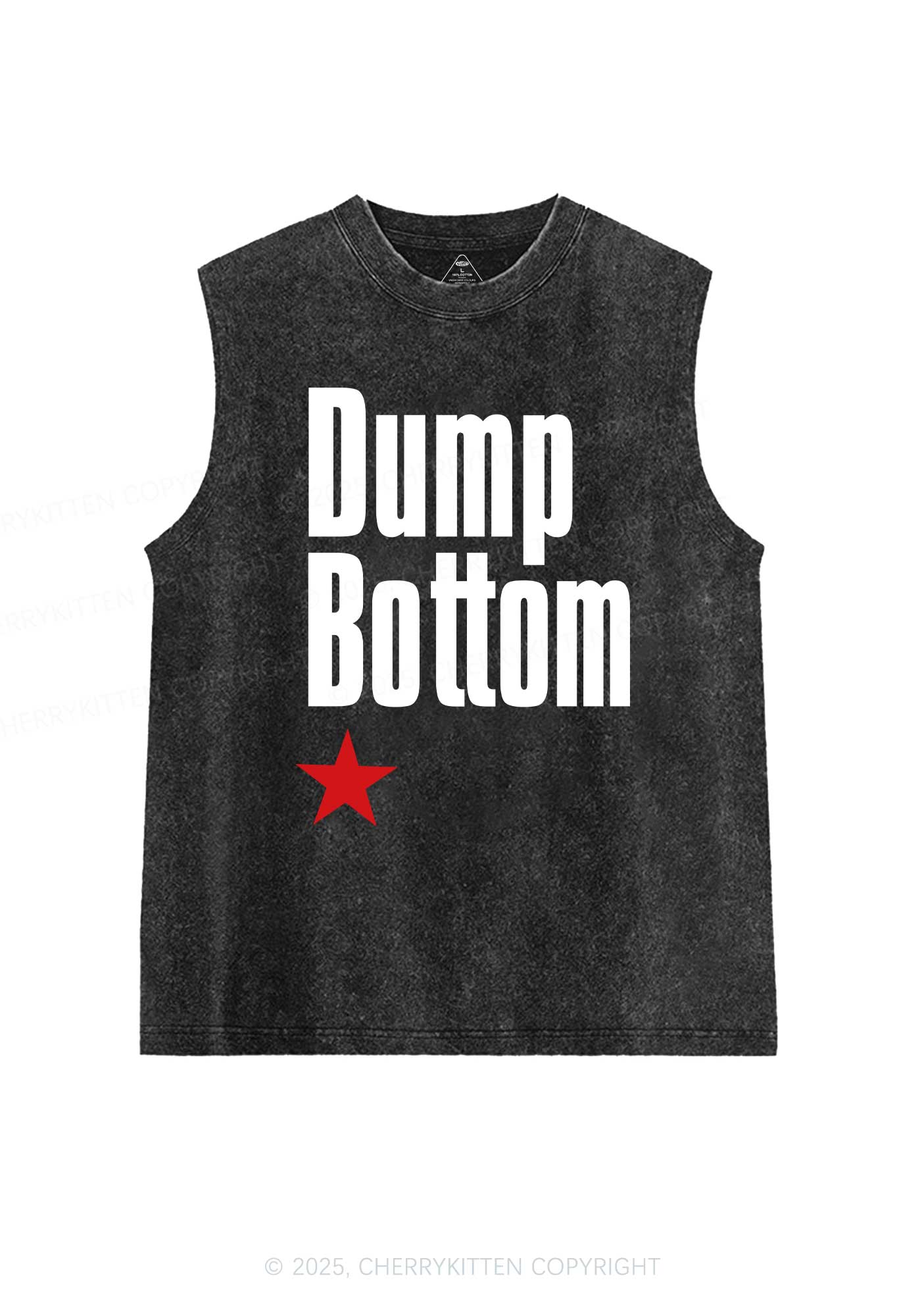 Dump Bottom Pride Y2K Washed Muscle Tank Cherrykitten