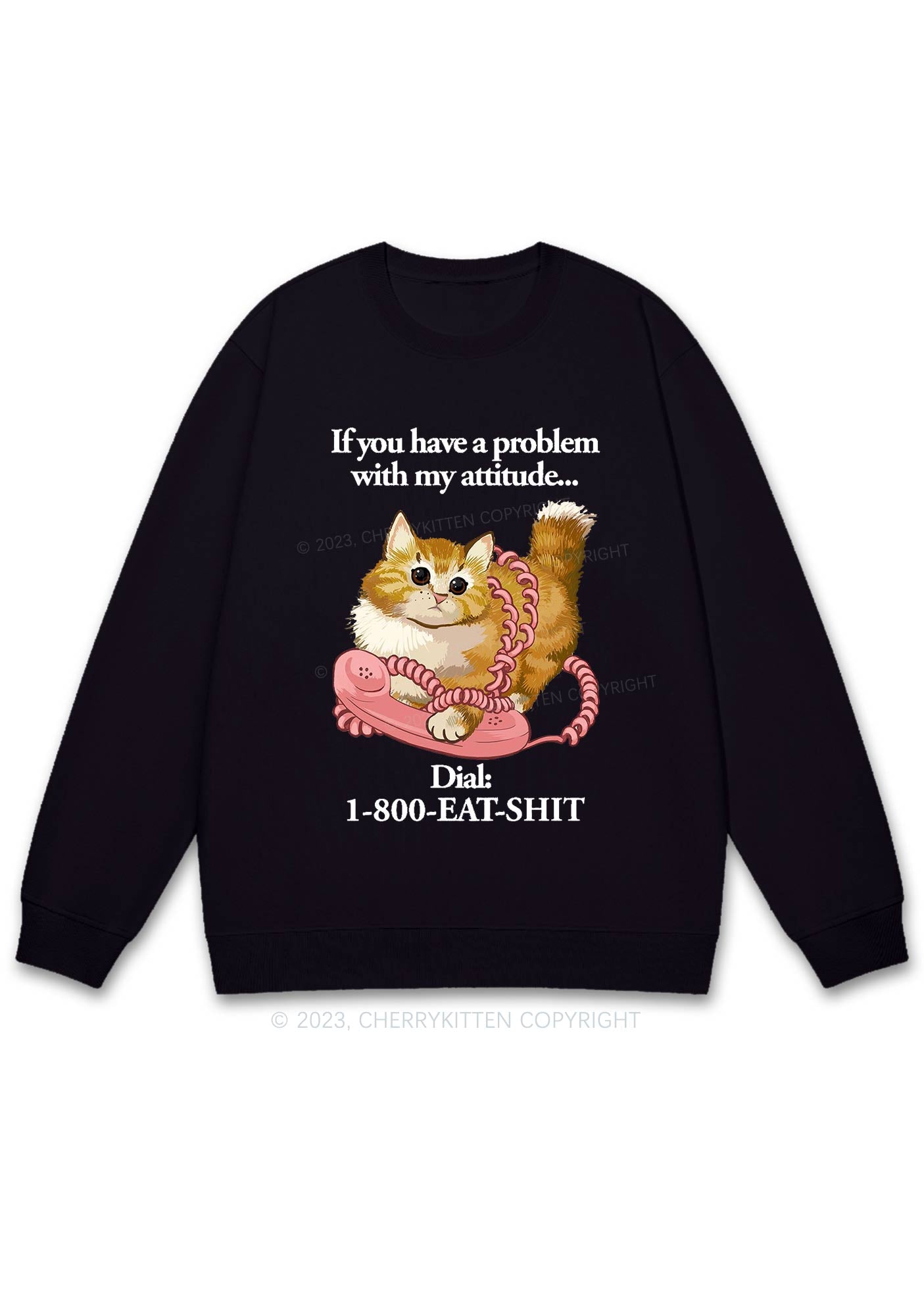 If You Have A Problem With My Attitude Y2K Sweatshirt Cherrykitten