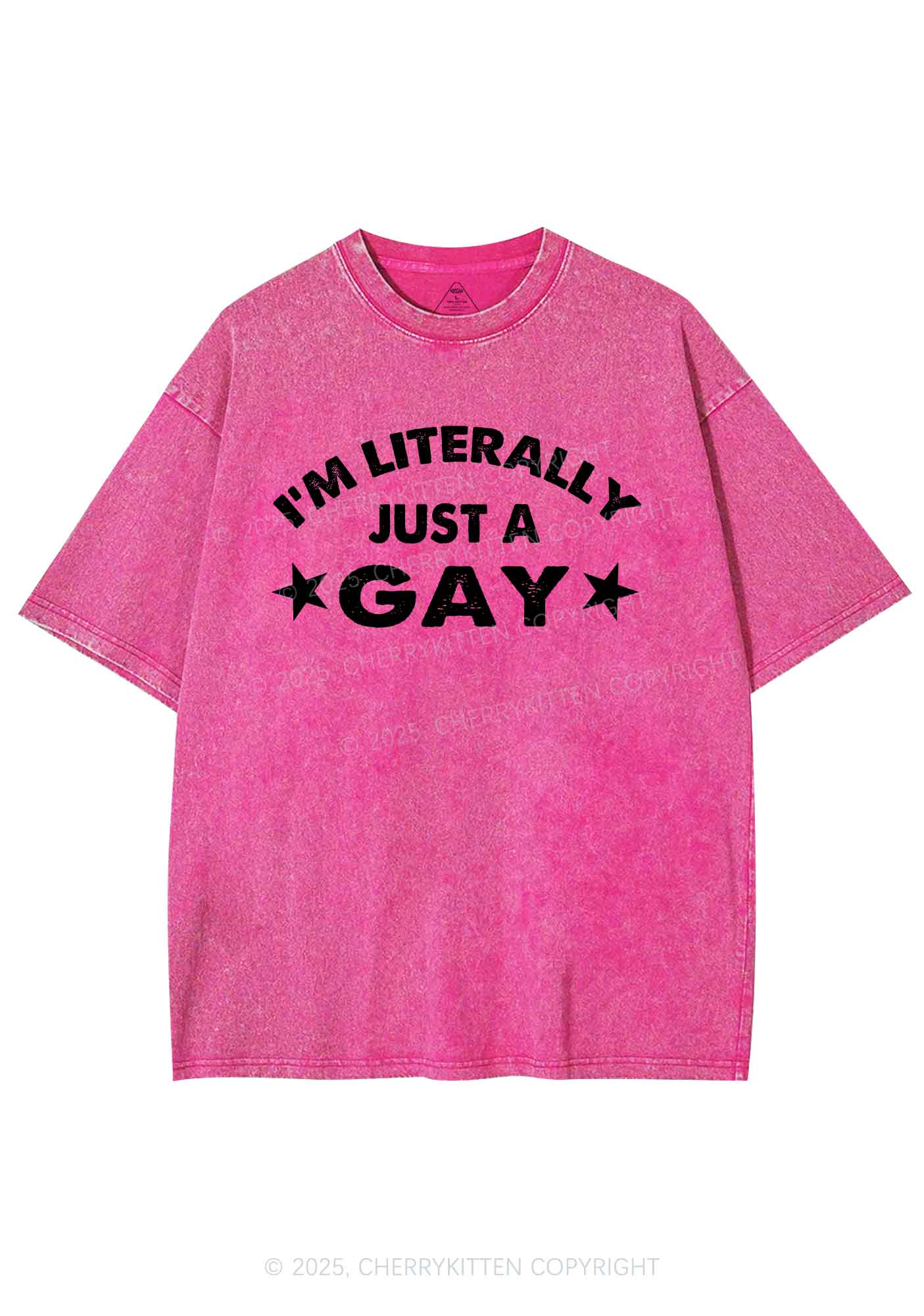Literally Just A Gay Pride Y2K Shirts Washed Tee Cherrykitten