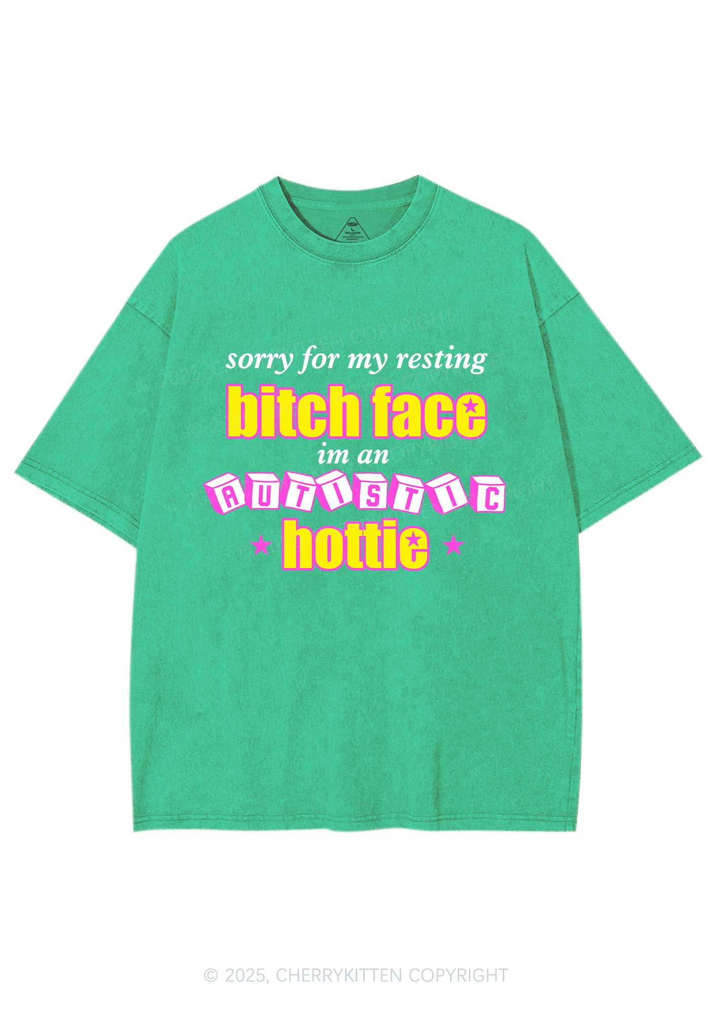 Autistic Hottie Y2K Shirts Washed Tee Cherrykitten