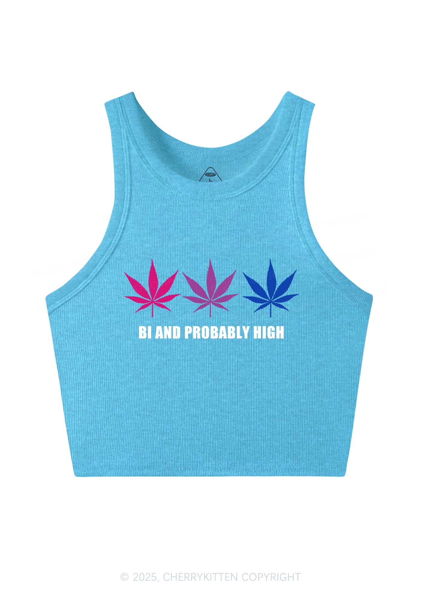 Bi Probably High Pride Y2K Crop Tank Top Cherrykitten