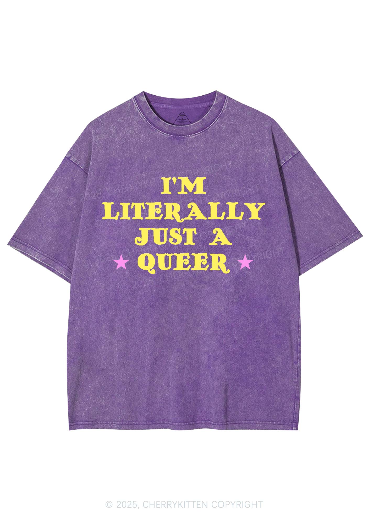 Just A Queer Pride Y2K Shirts Washed Tee Cherrykitten