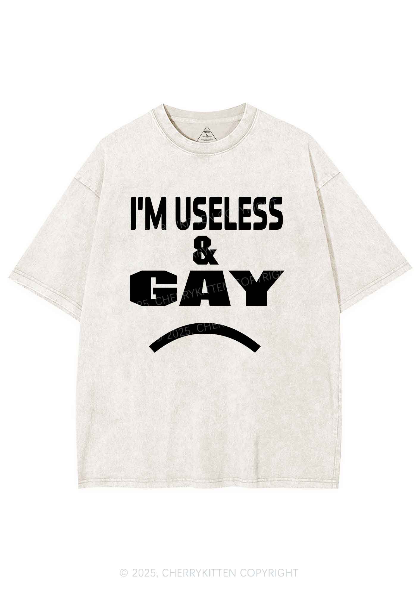 Useless Gay Pride Y2K Shirts Washed Tee Cherrykitten