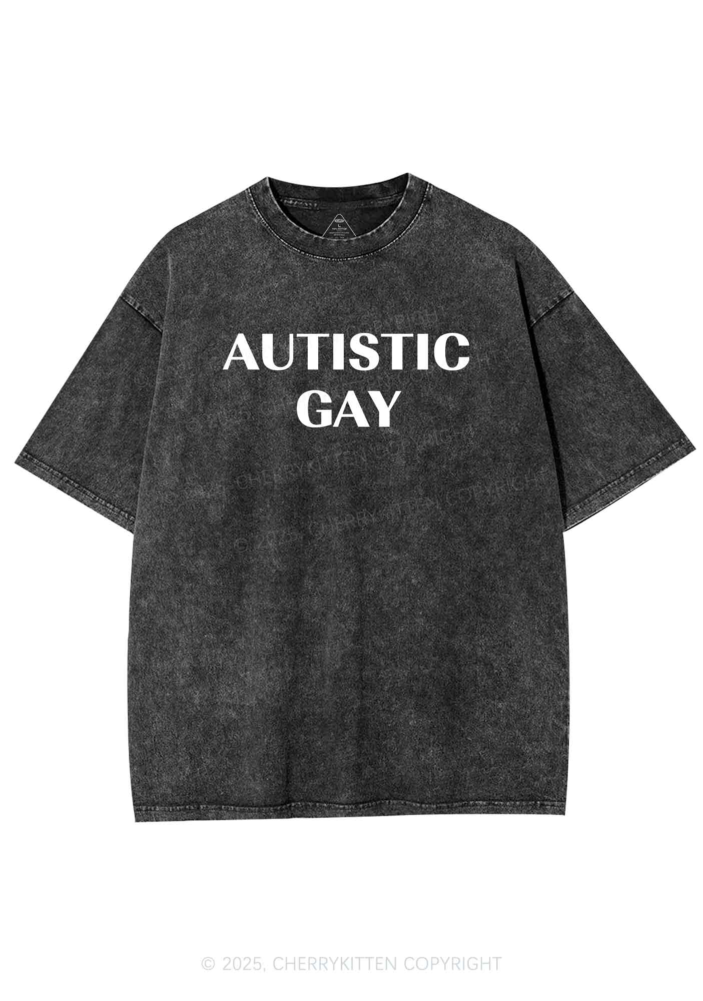 Autistic Gay Pride Y2K Shirts Washed Tee Cherrykitten