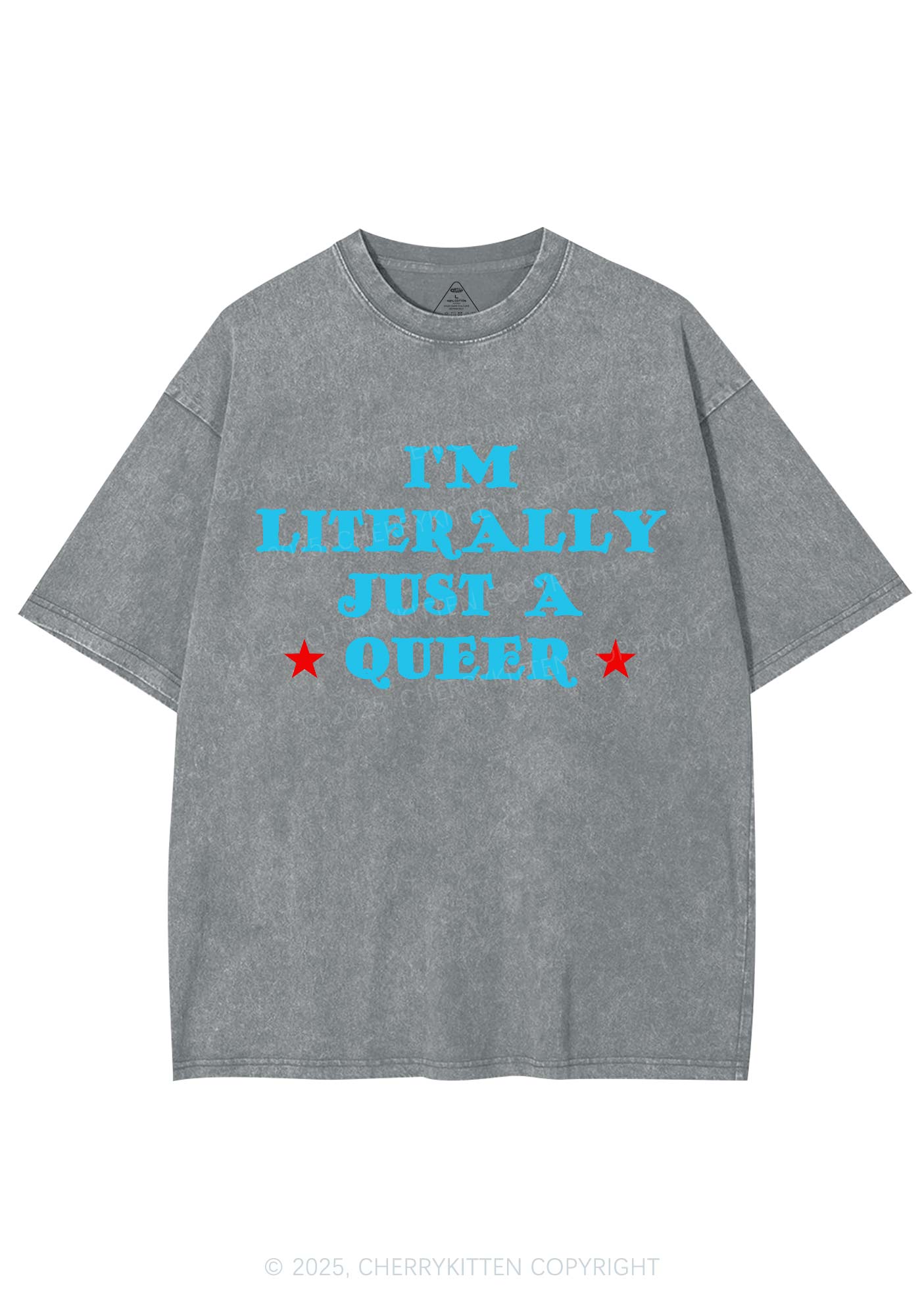 Just A Queer Pride Y2K Shirts Washed Tee Cherrykitten