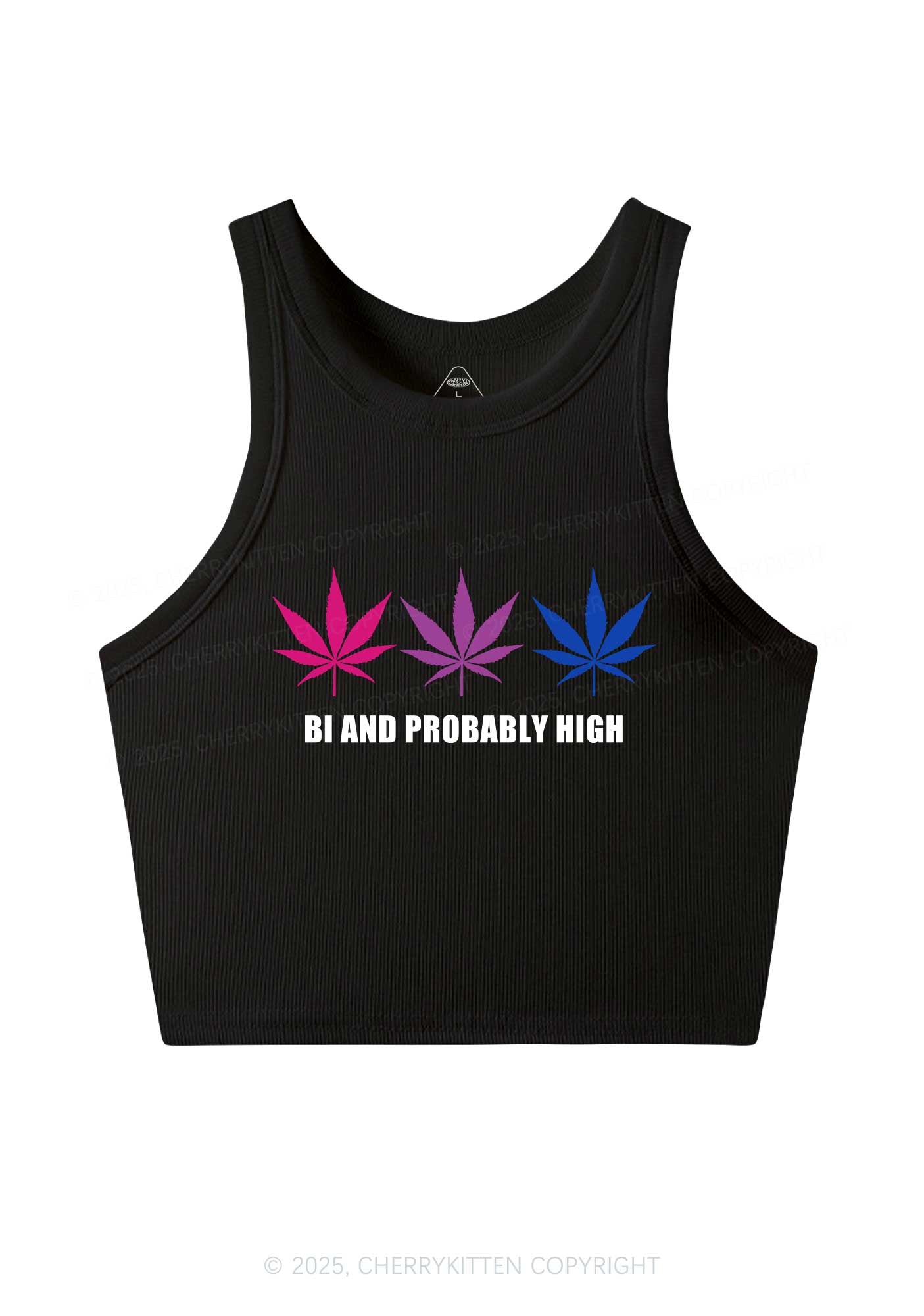 Bi Probably High Pride Y2K Crop Tank Top Cherrykitten