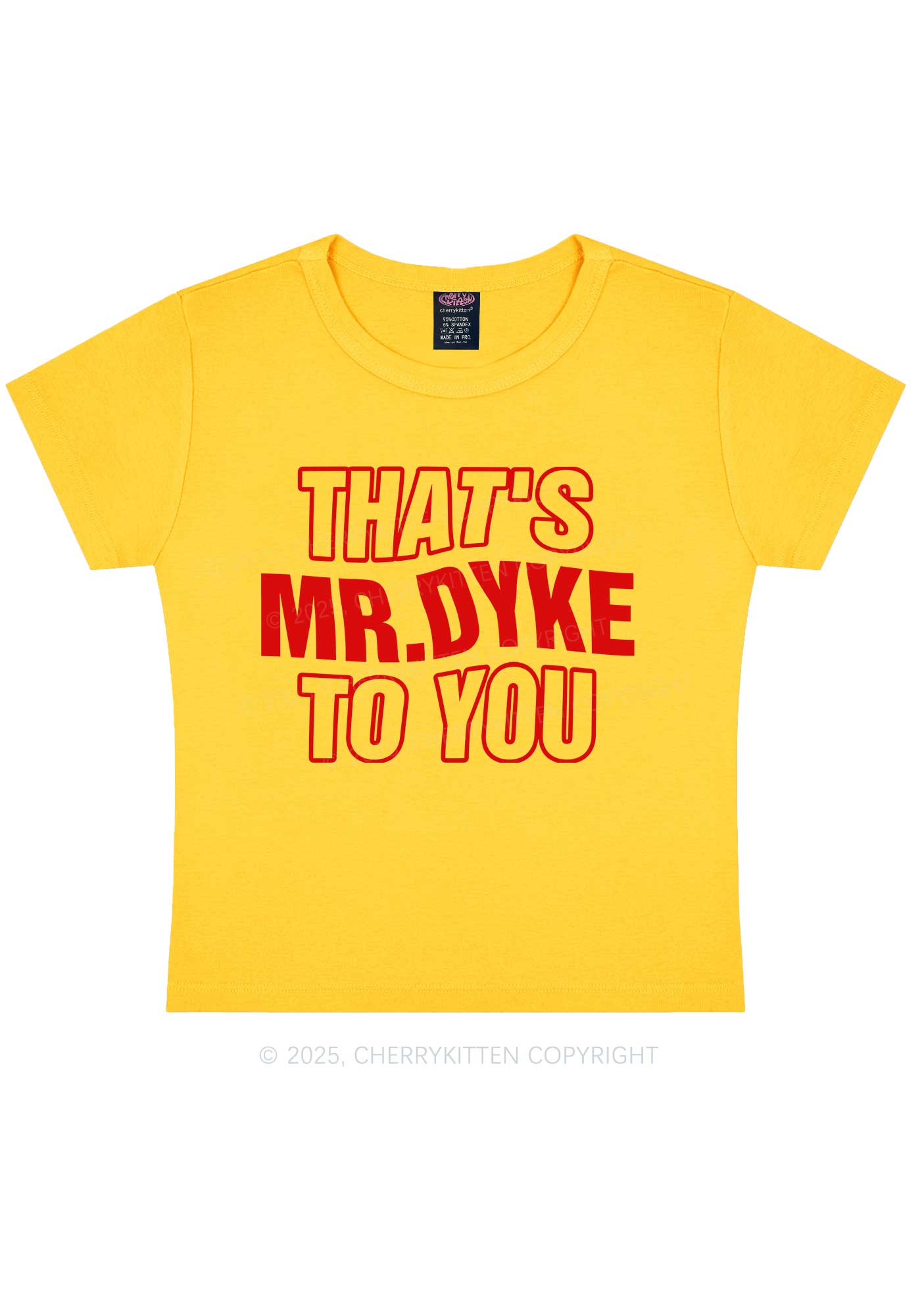 Thats Mr Dyke Pride Y2K Baby Tee Cherrykitten