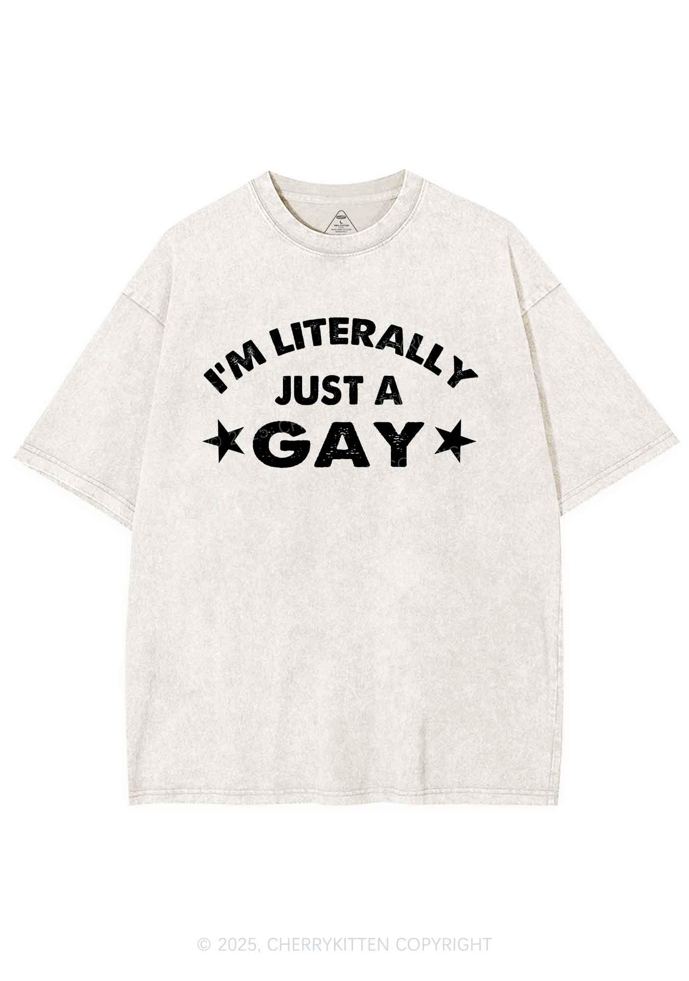 Literally Just A Gay Pride Y2K Shirts Washed Tee Cherrykitten
