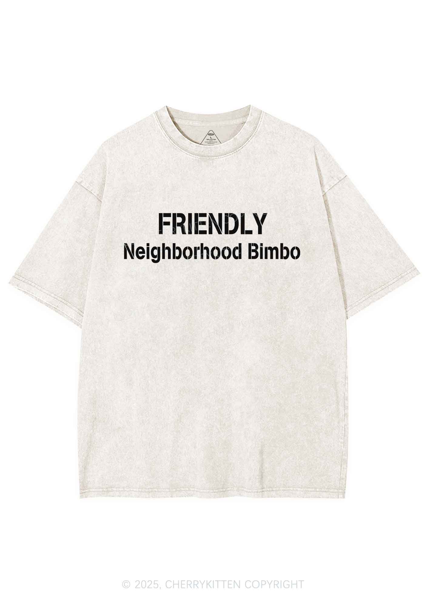 Friendly Neighborhood Bimbo Y2K Shirts Washed Tee Cherrykitten