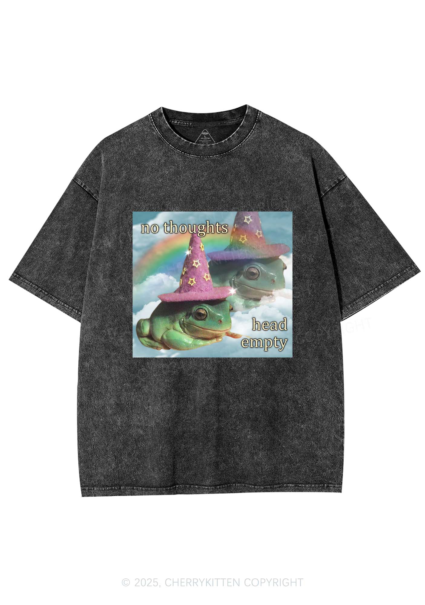 Head Empty Frog Y2K Washed Tee Cherrykitten