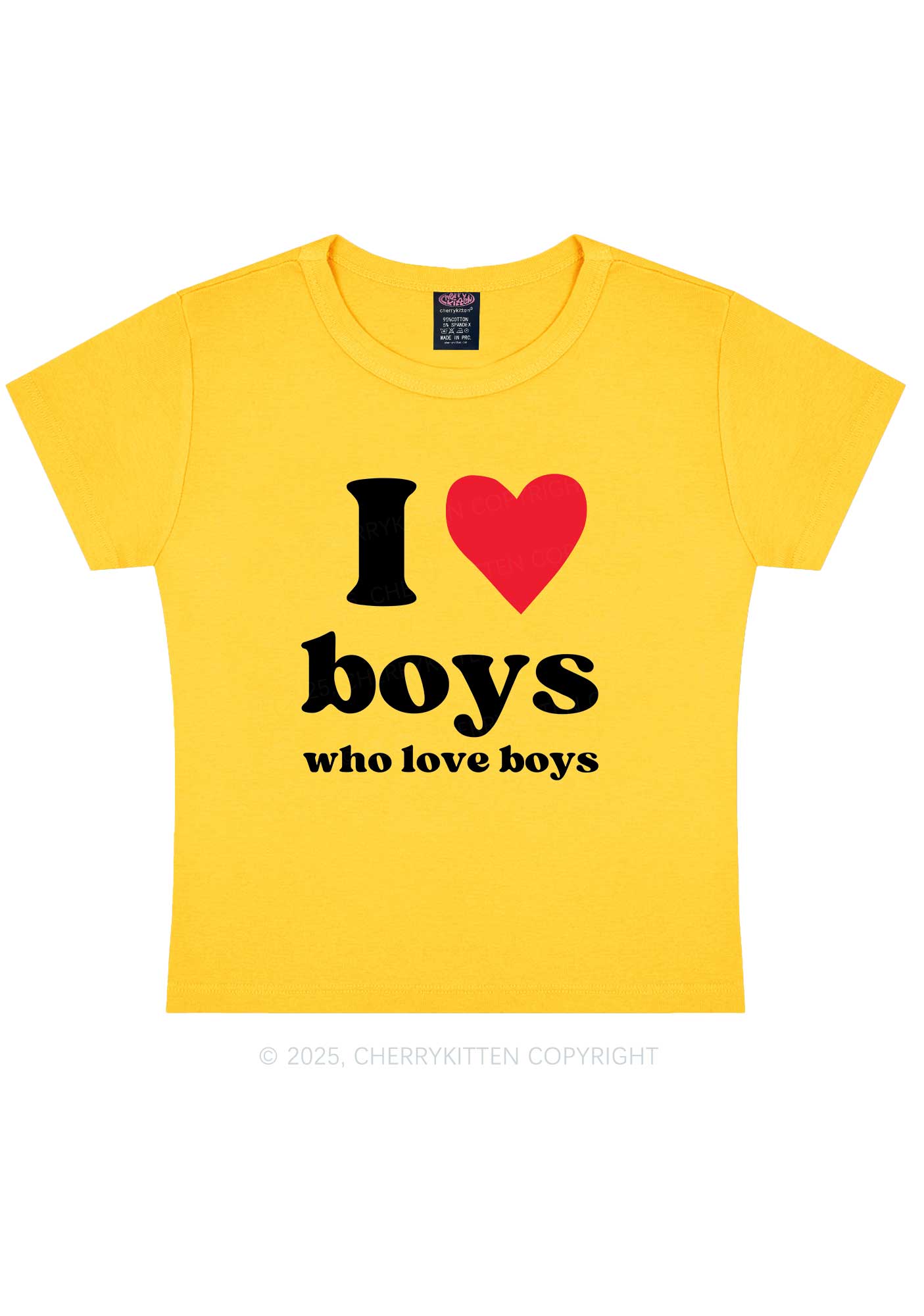 I Love Boys Pride Y2K Baby Tee Cherrykitten