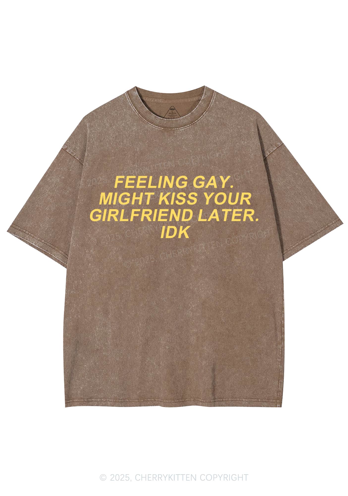 Kiss Your GF Later Pride Y2K Shirts Washed Tee Cherrykitten