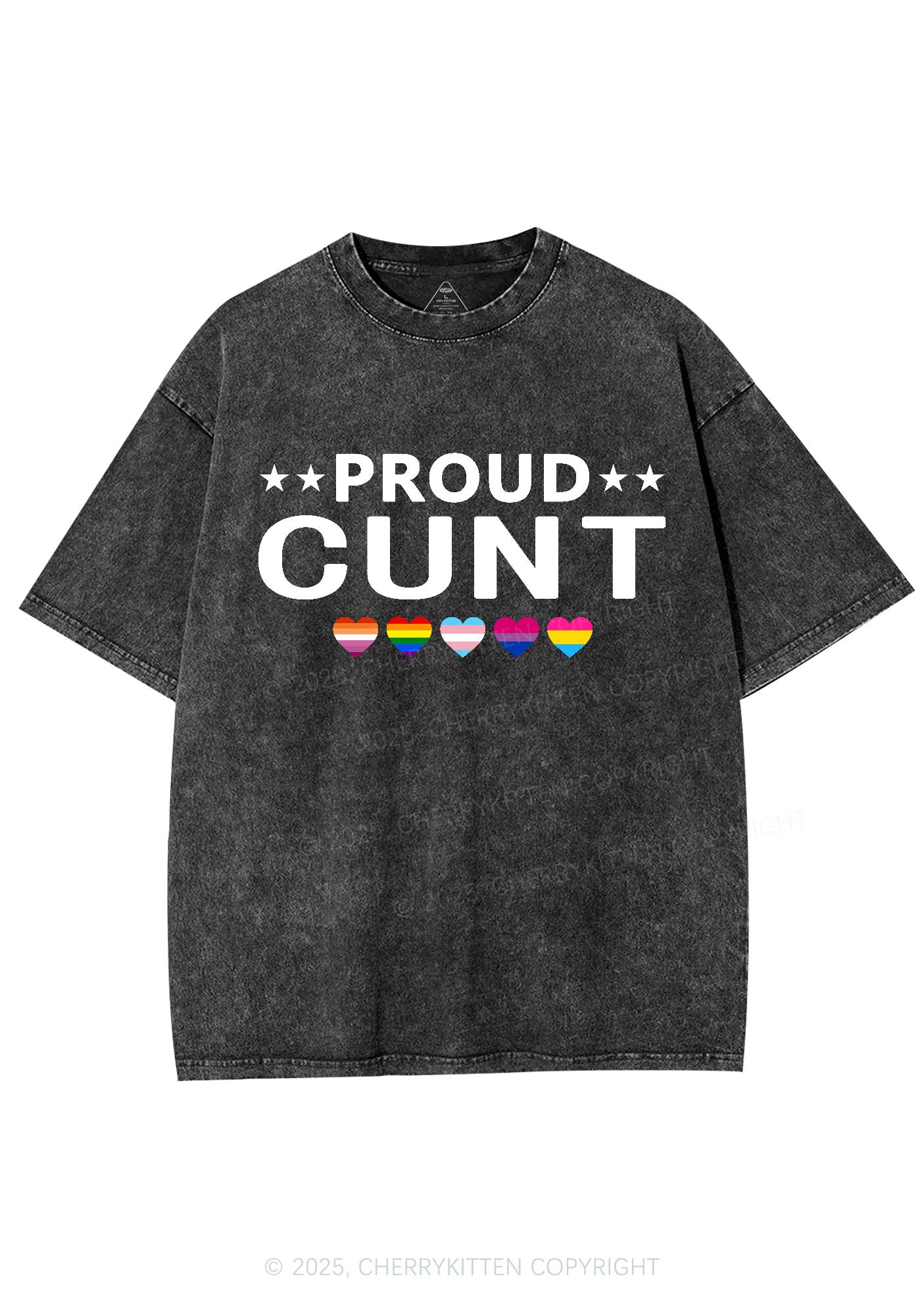 Proud Cxxt Pride Y2K Shirts Washed Tee Cherrykitten