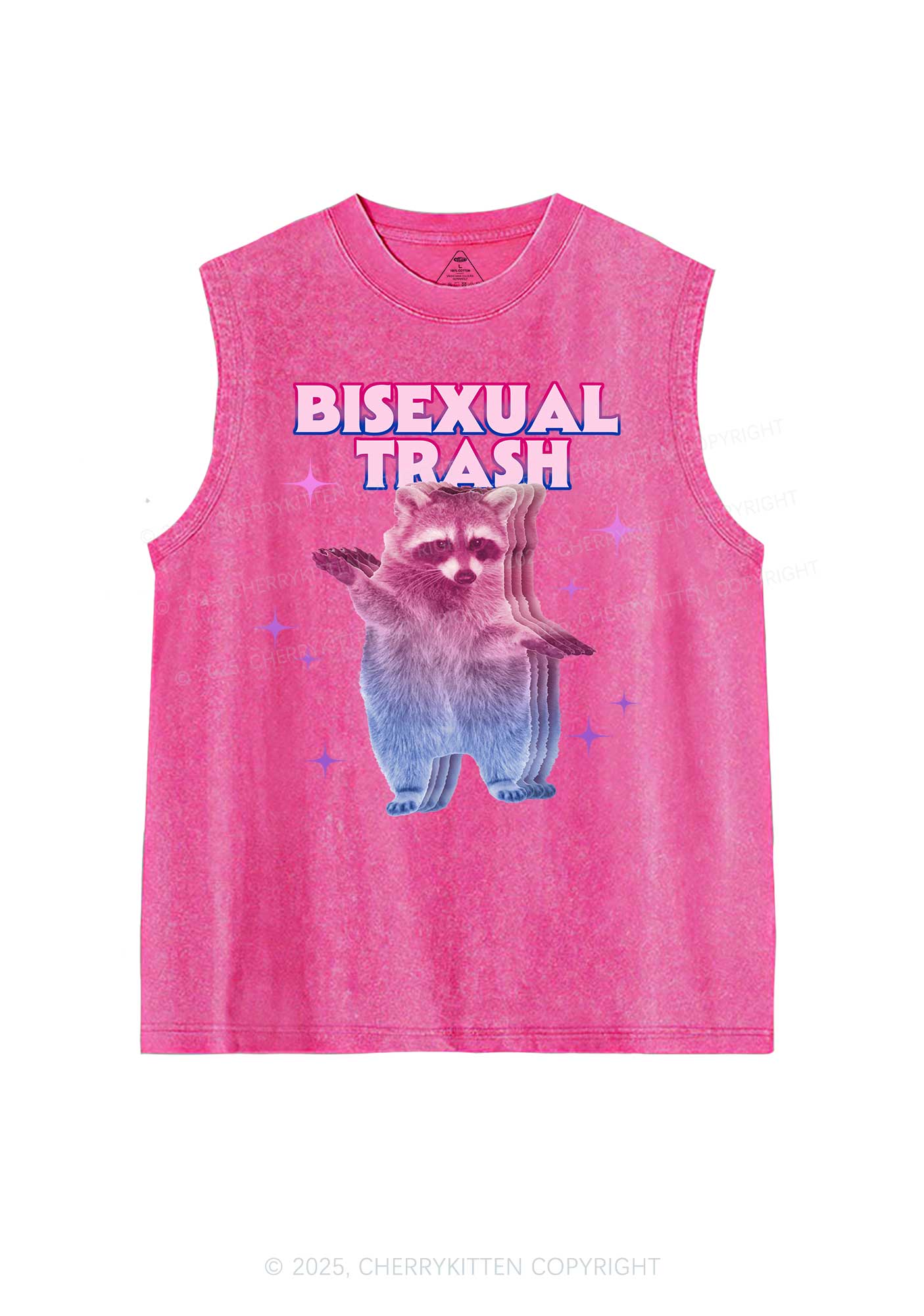 Bisexual Trash Raccoon Pride Y2K Washed Muscle Tank Cherrykitten