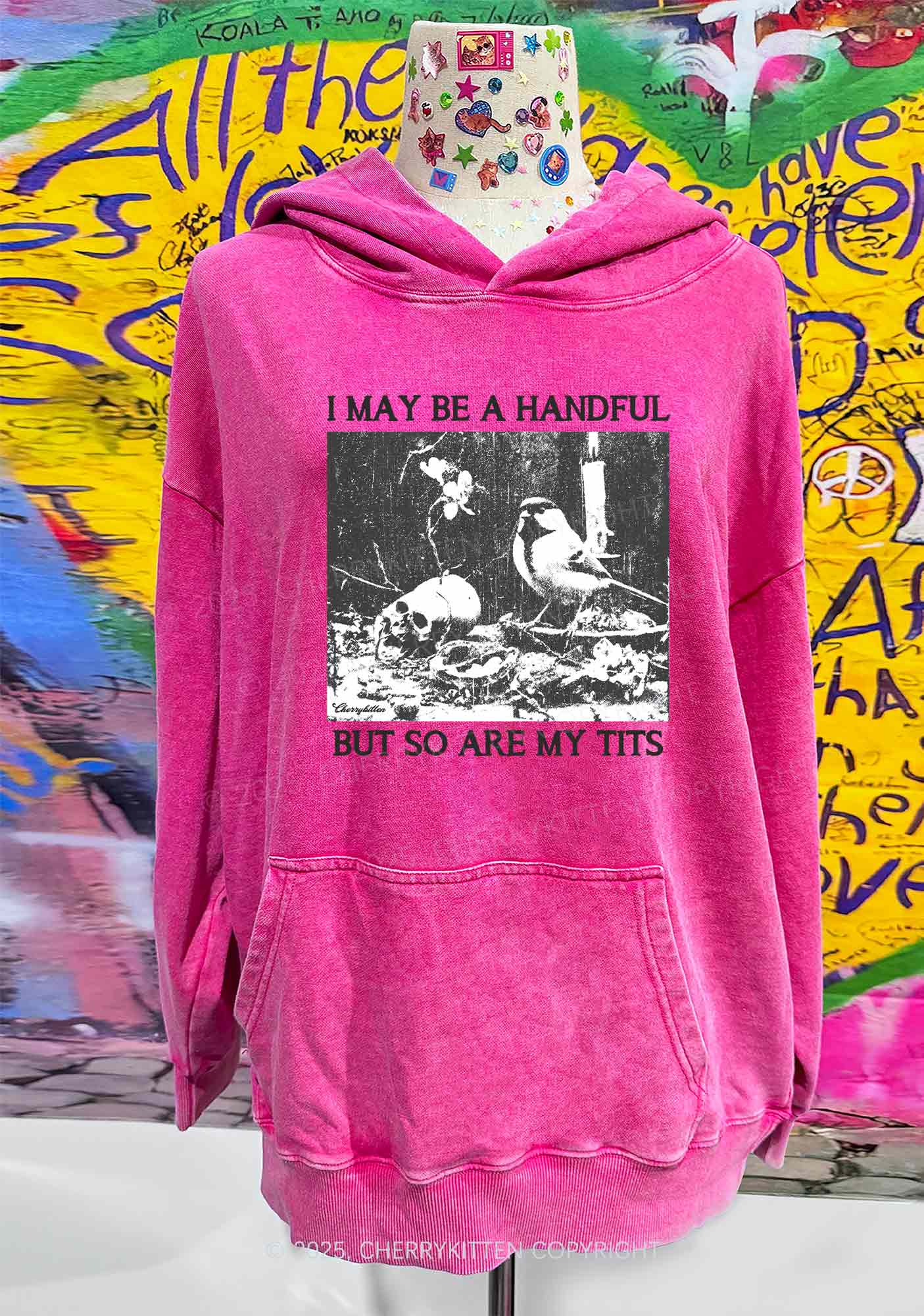 Halloween I May Be A Handful Y2K Washed Hoodie Cherrykitten