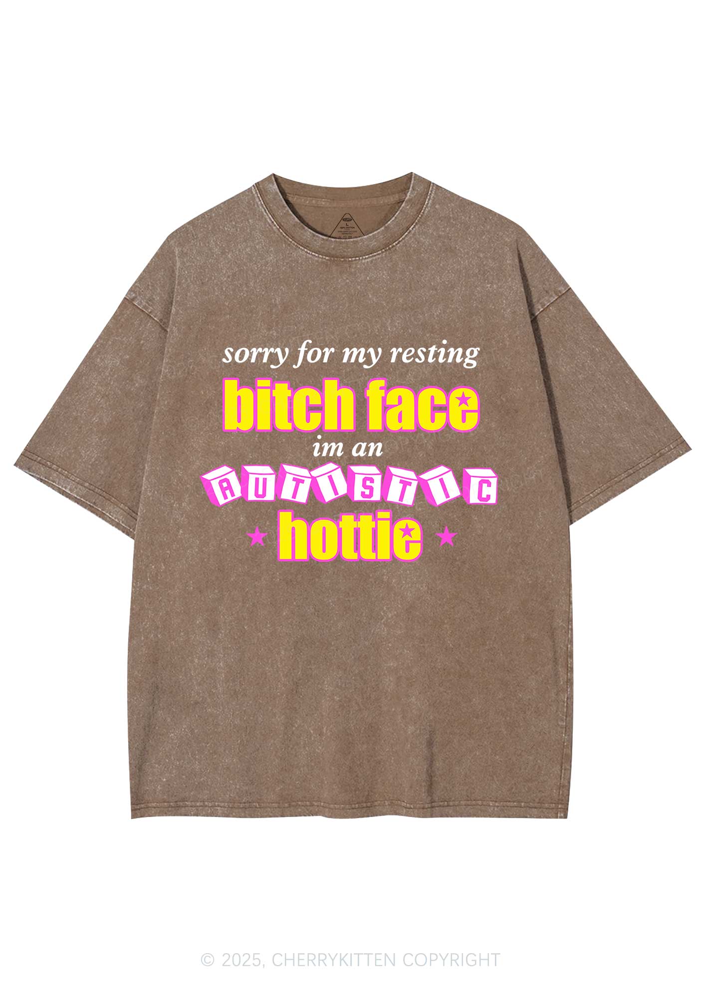 Autistic Hottie Y2K Shirts Washed Tee Cherrykitten
