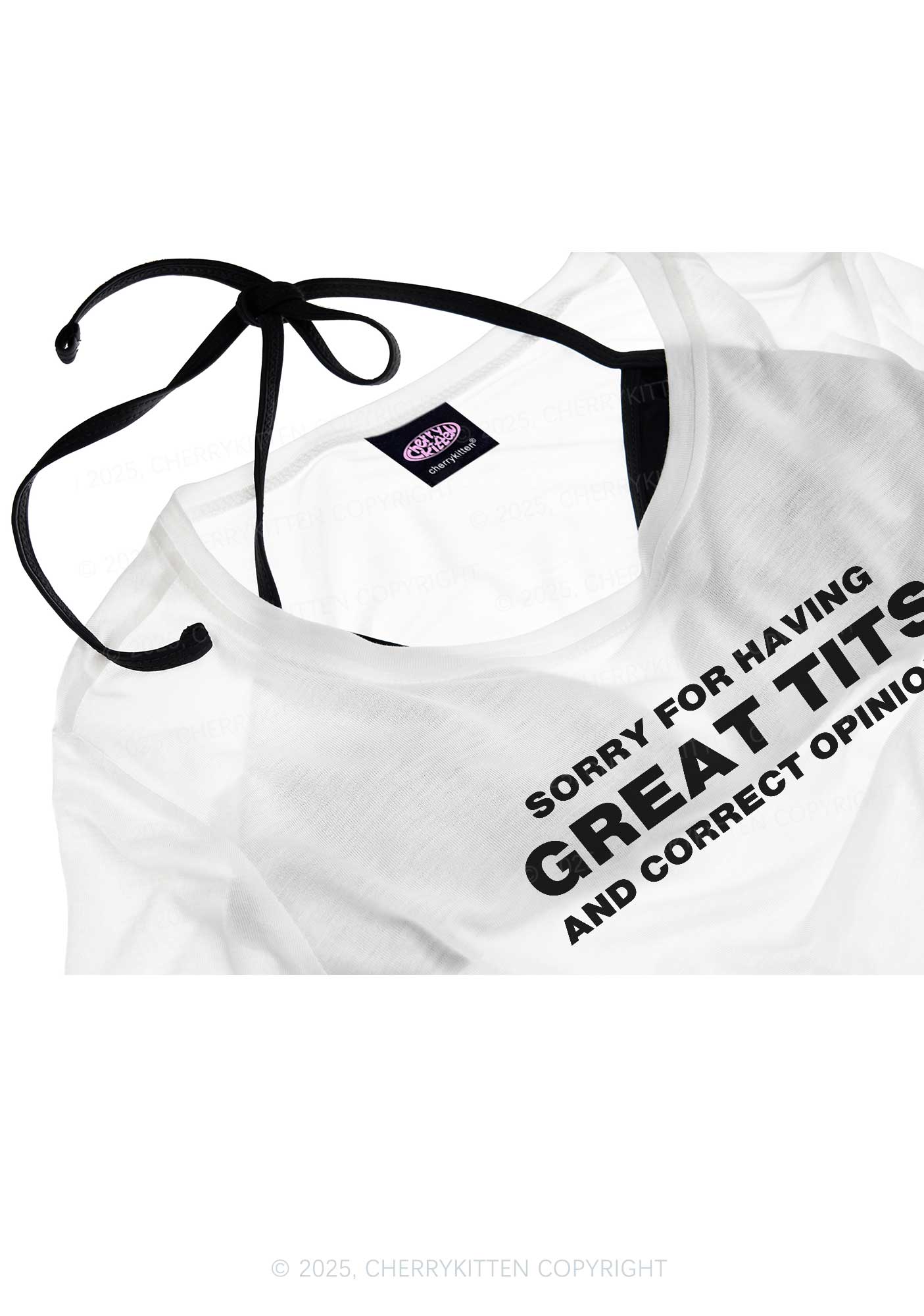 Sorry For Having Correct Opinions Y2K Sheer Boyfriend Tee Cherrykitten