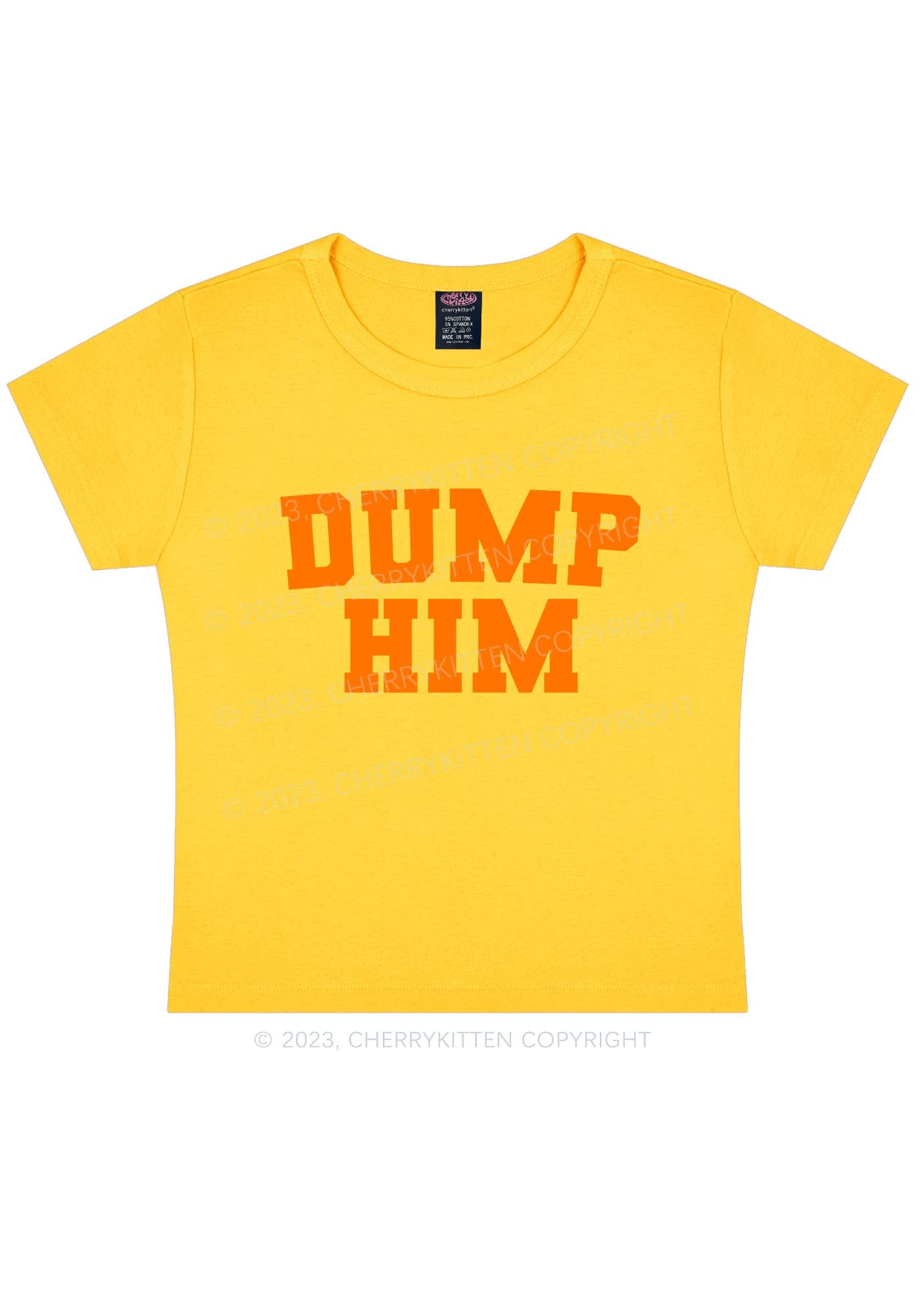 Dump Him Y2k Baby Tee