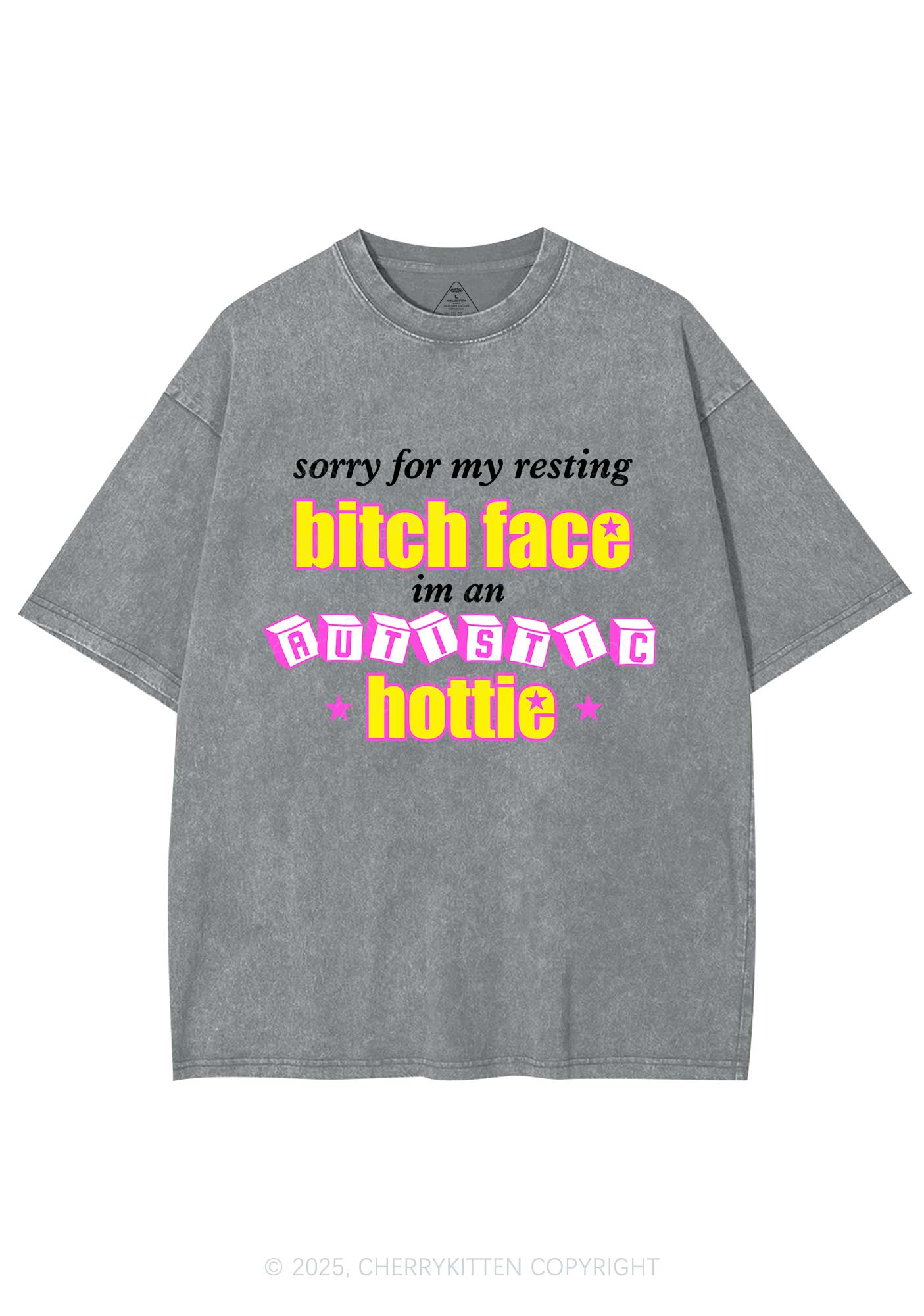 Autistic Hottie Y2K Shirts Washed Tee Cherrykitten