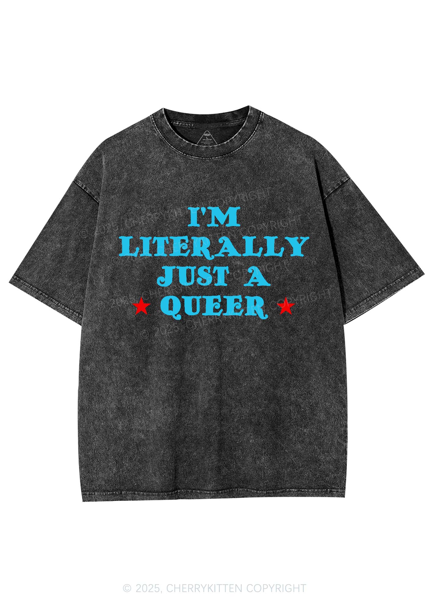 Just A Queer Pride Y2K Shirts Washed Tee Cherrykitten