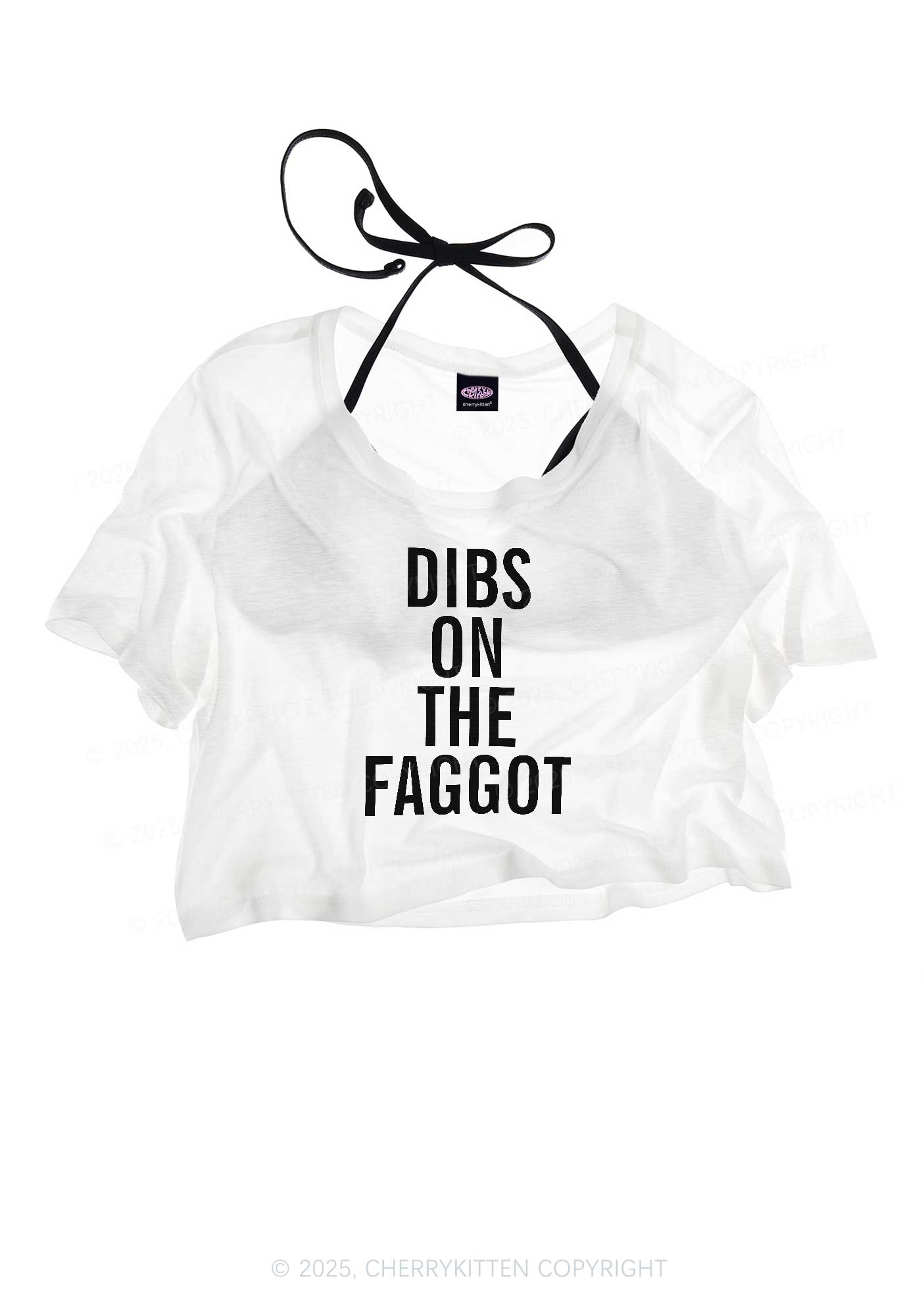 Dibs On The Faggot Pride Y2K Sheer Crop Tee Cherrykitten
