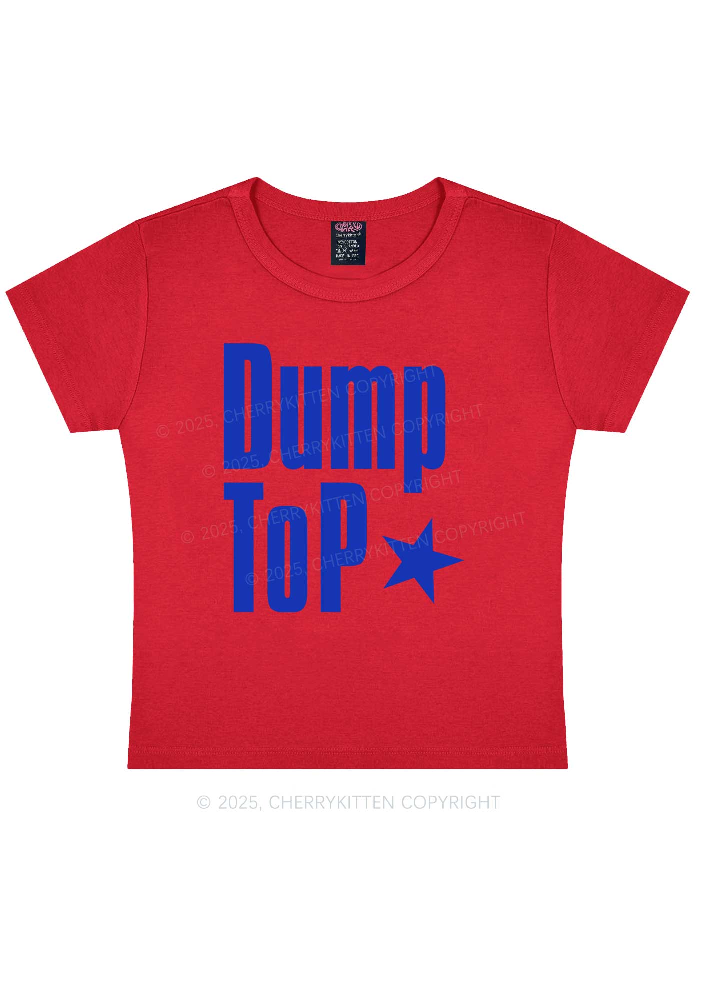Dump Top Pride Y2K Baby Tee Cherrykitten