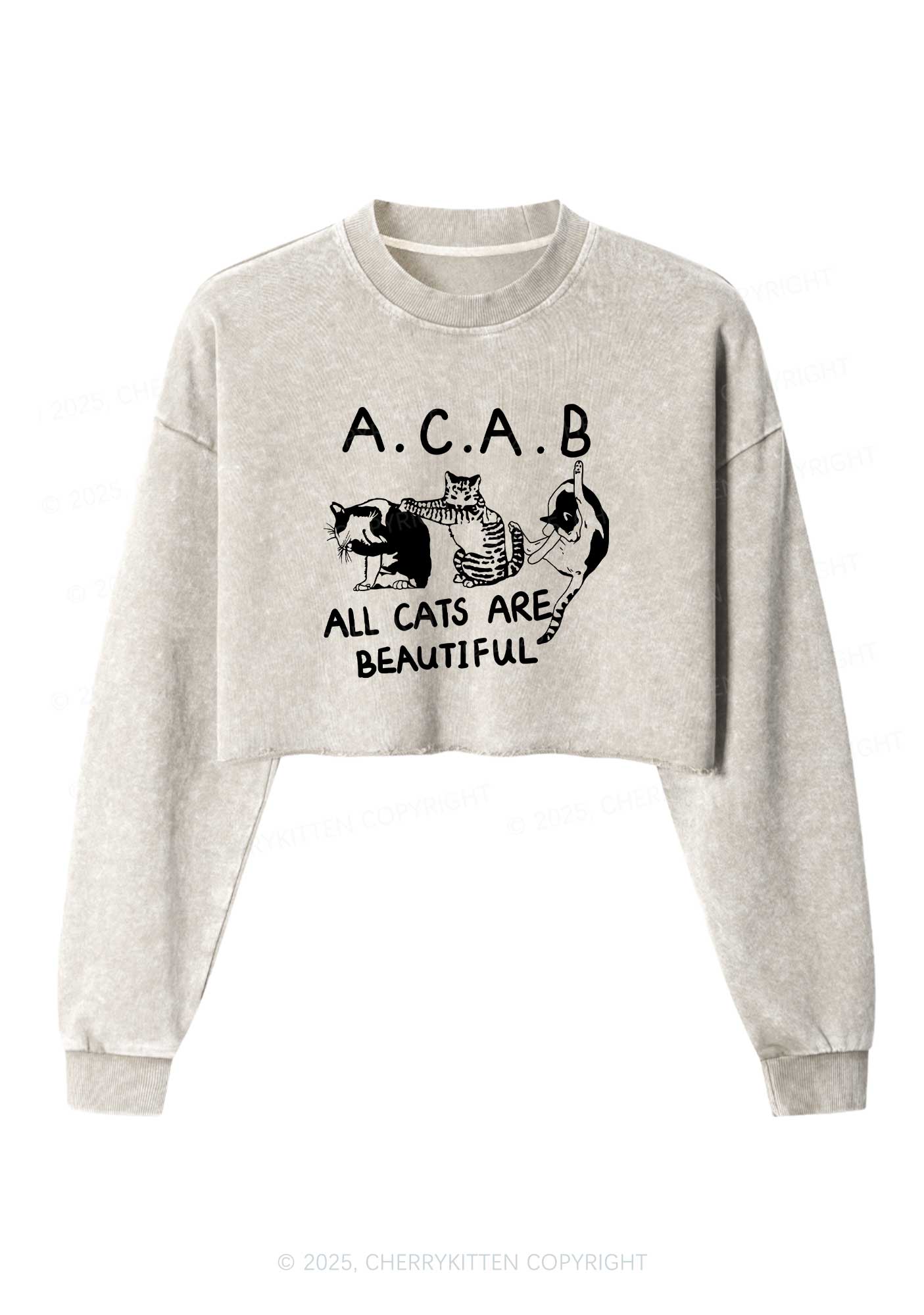 ACAB Cats Y2K Crop Washed Sweatshirts Cherrykitten