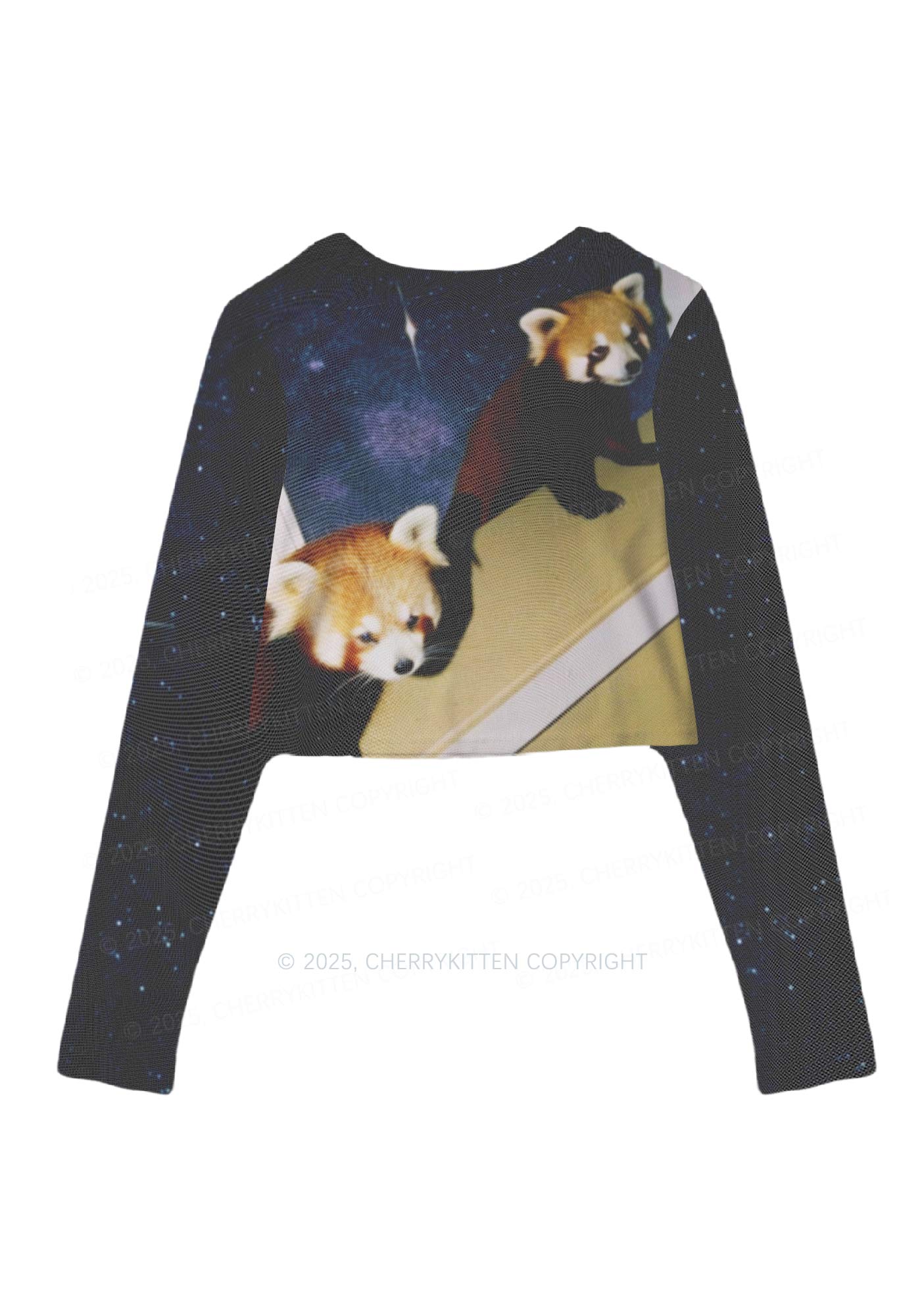 Raccoon Friends Y2K Mesh Long Sleeve Crop Top Cherrykitten