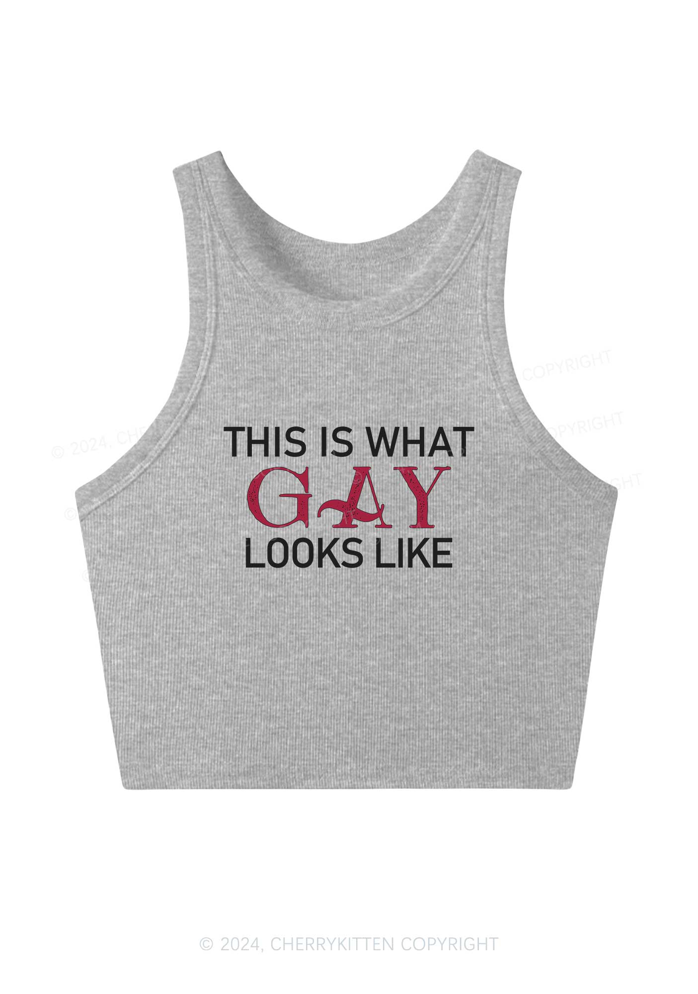 This Is What Gay Looks Like Y2K Crop Tank Top Cherrykitten