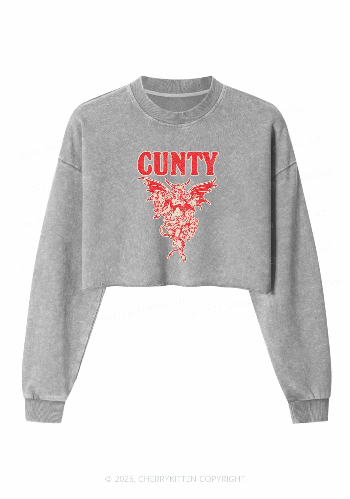 Cunty Satan Y2K Crop Washed Sweatshirts Cherrykitten