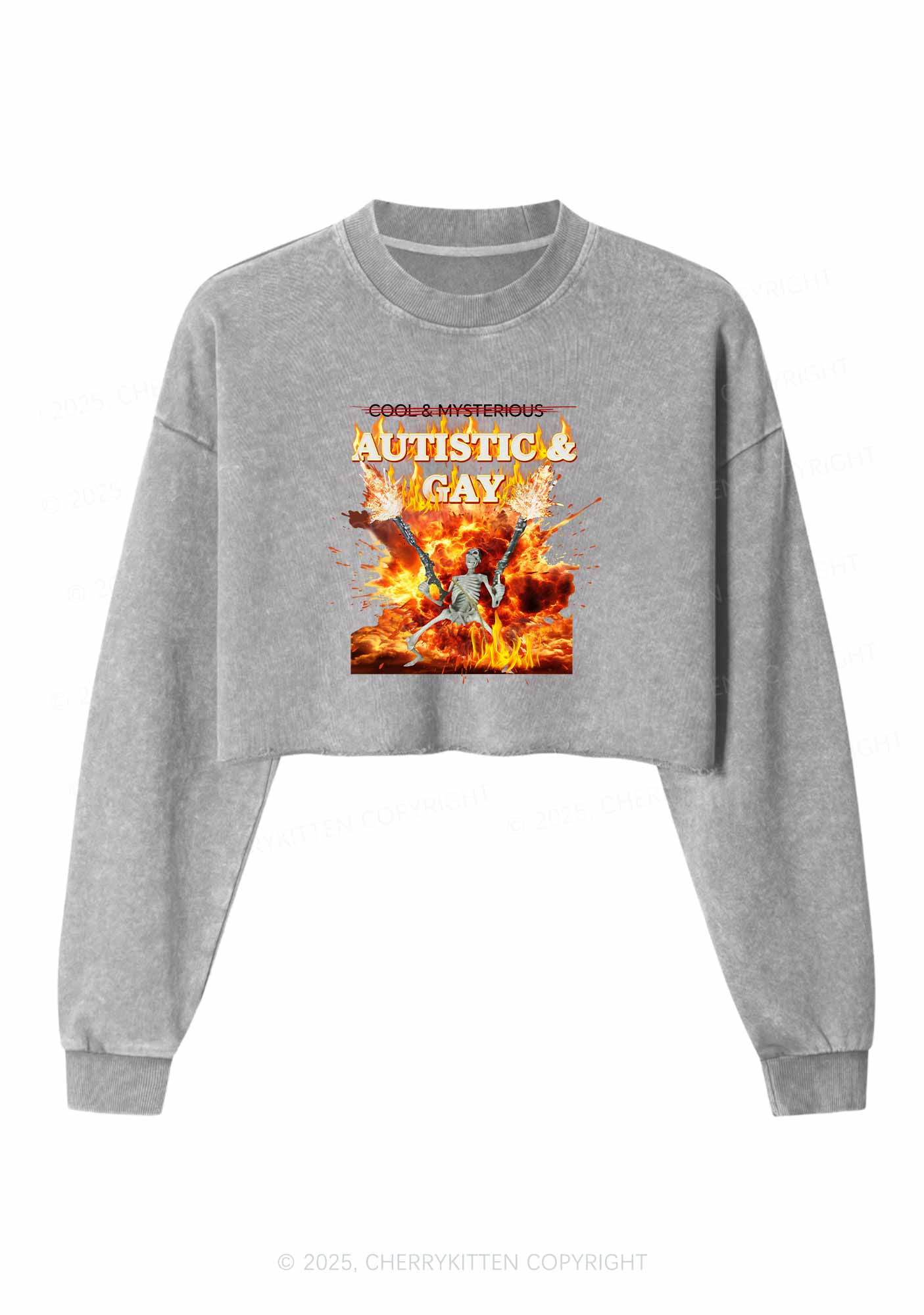 Autistic Gay Skeleton Pride Y2K Crop Washed Sweatshirts Cherrykitten