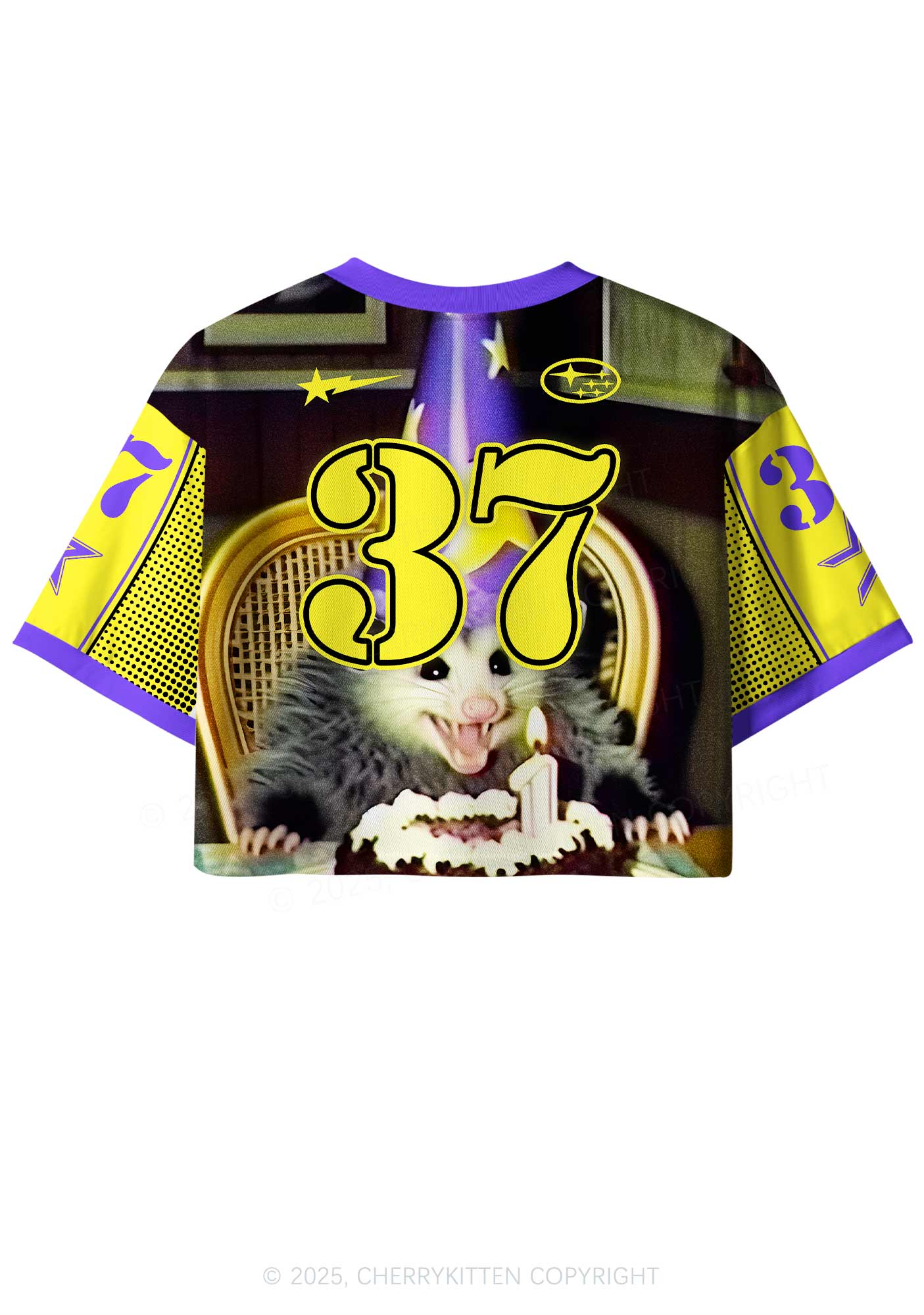 Custom Birthday Rat Y2K Crop Sport Jersey Shirts Cherrykitten