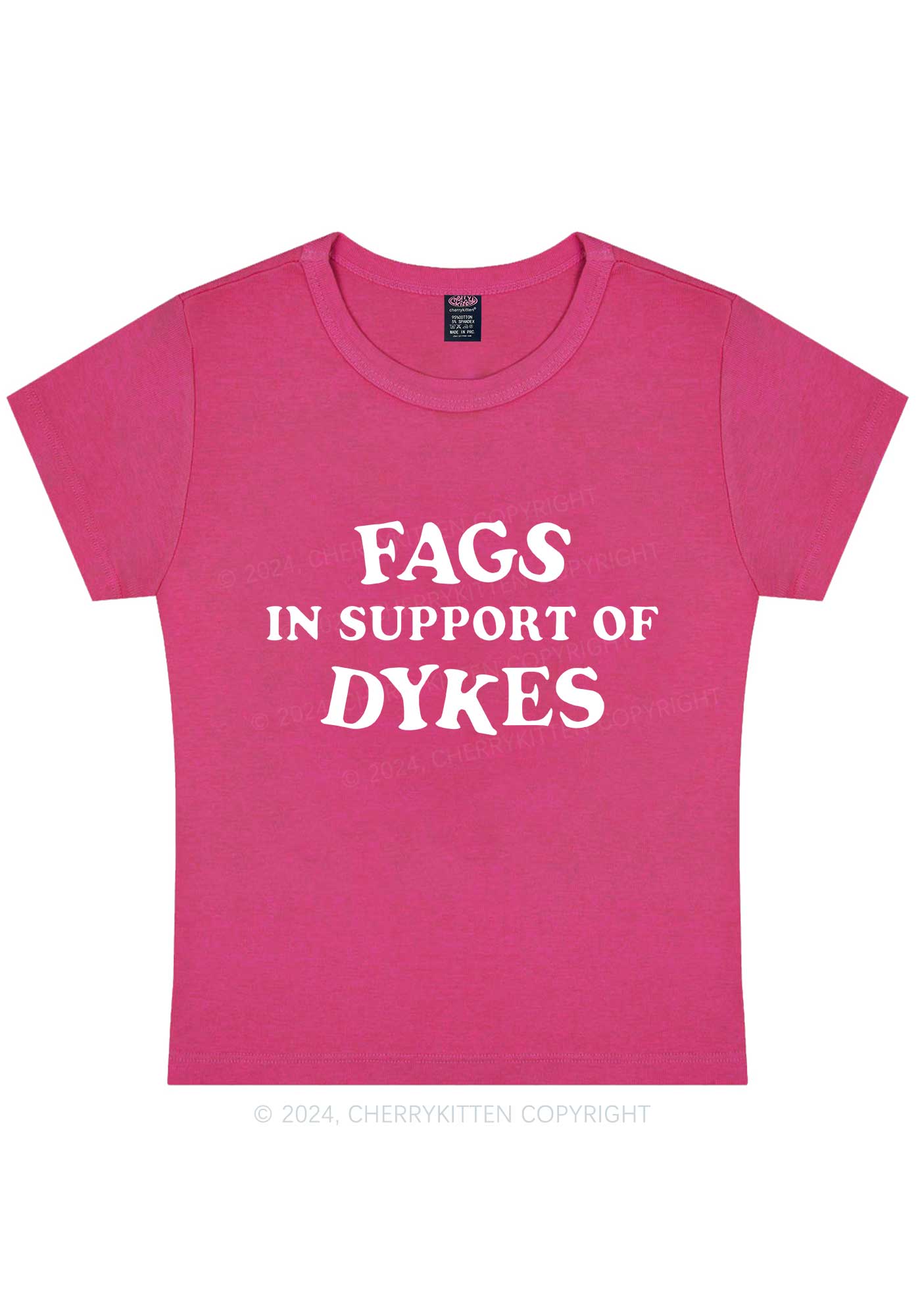 Curvy Fags Dykes Y2K Baby Tee Cherrykitten