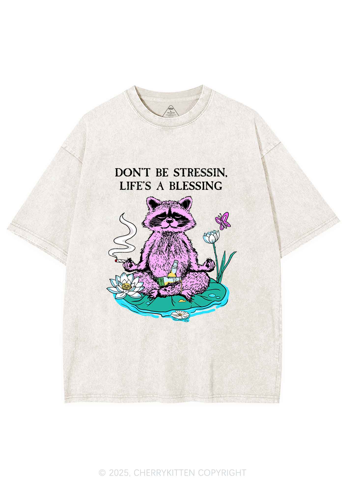 Dont Stress Raccoon Y2K Shirts Washed Tee Cherrykitten
